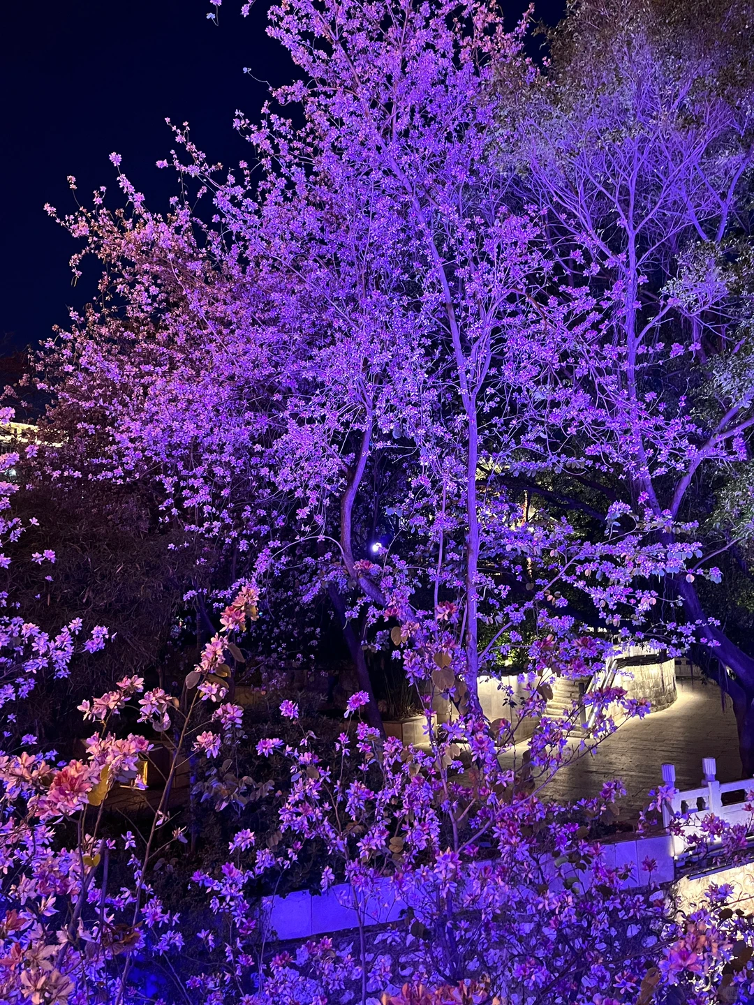 📍柳州～体验了一次流水线古国公主👸