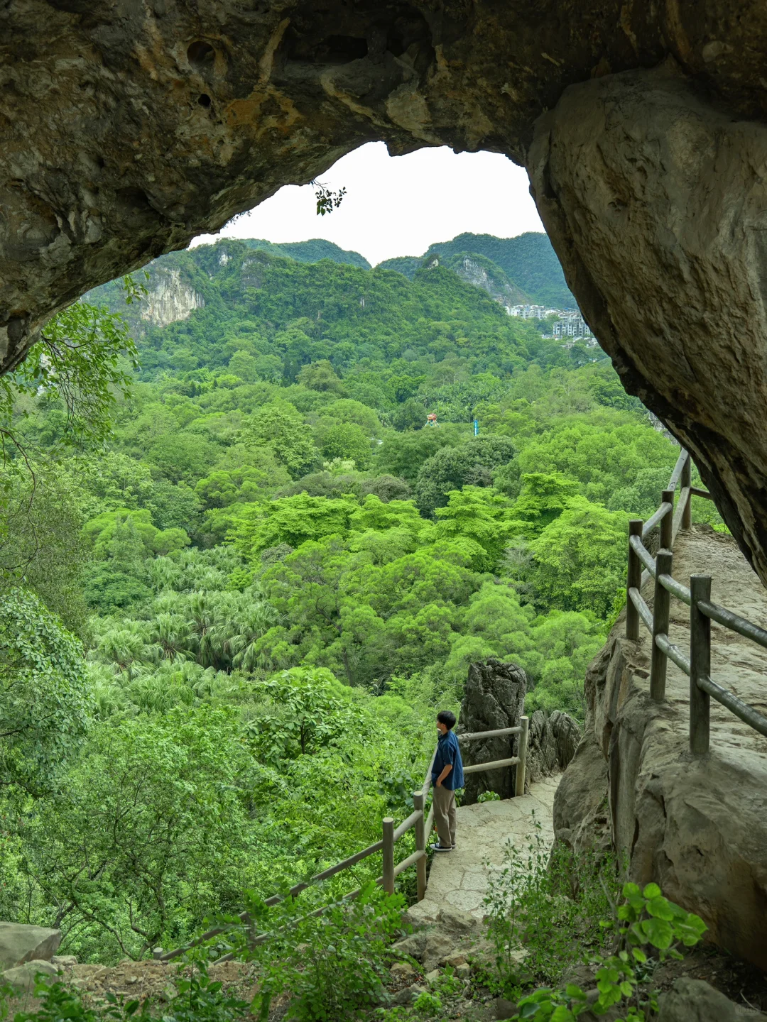 任何人来柳州，错过这个公园我都会伤心的