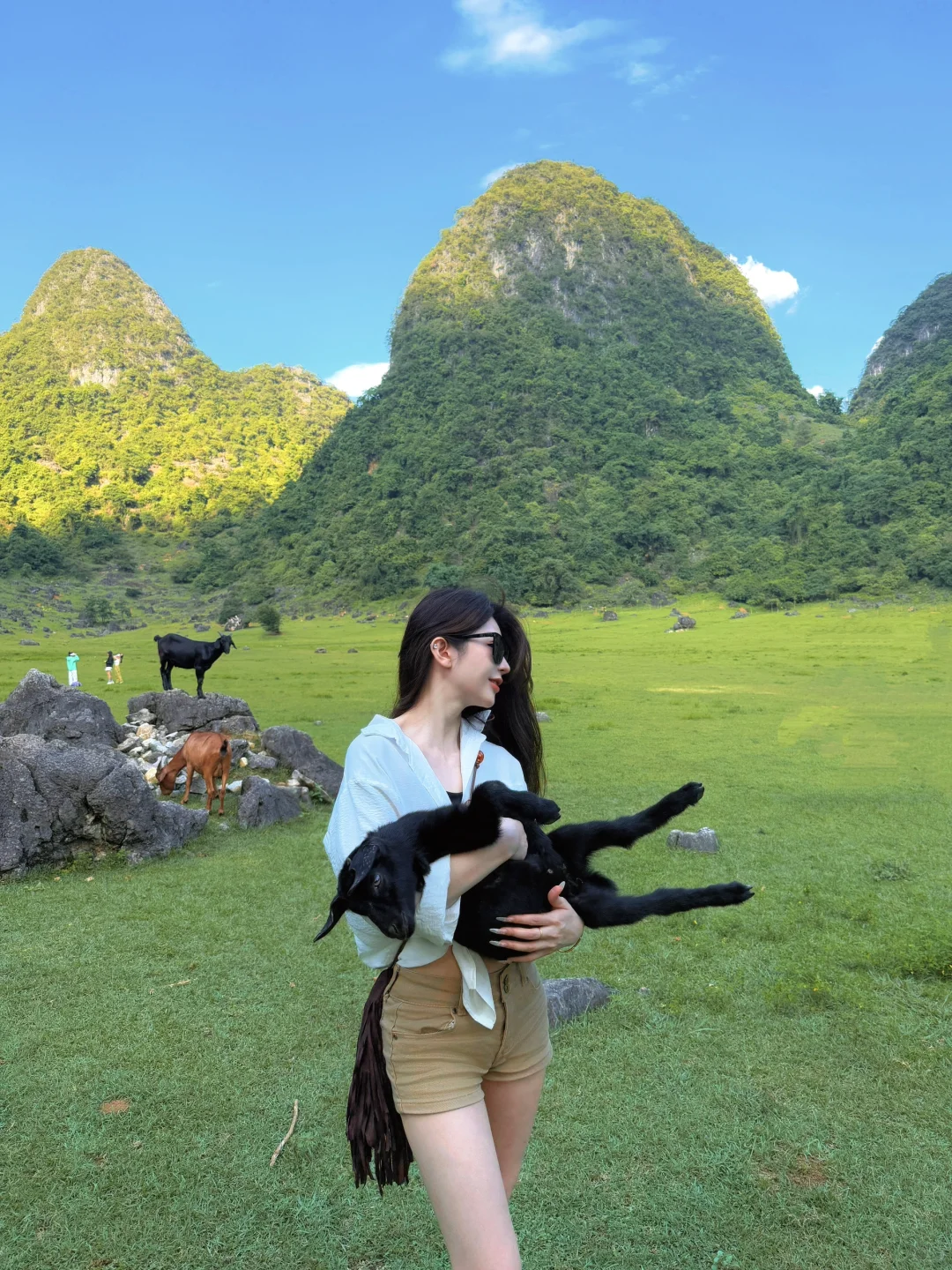 去不了新疆阿勒泰 就来柳州鹿寨🐑