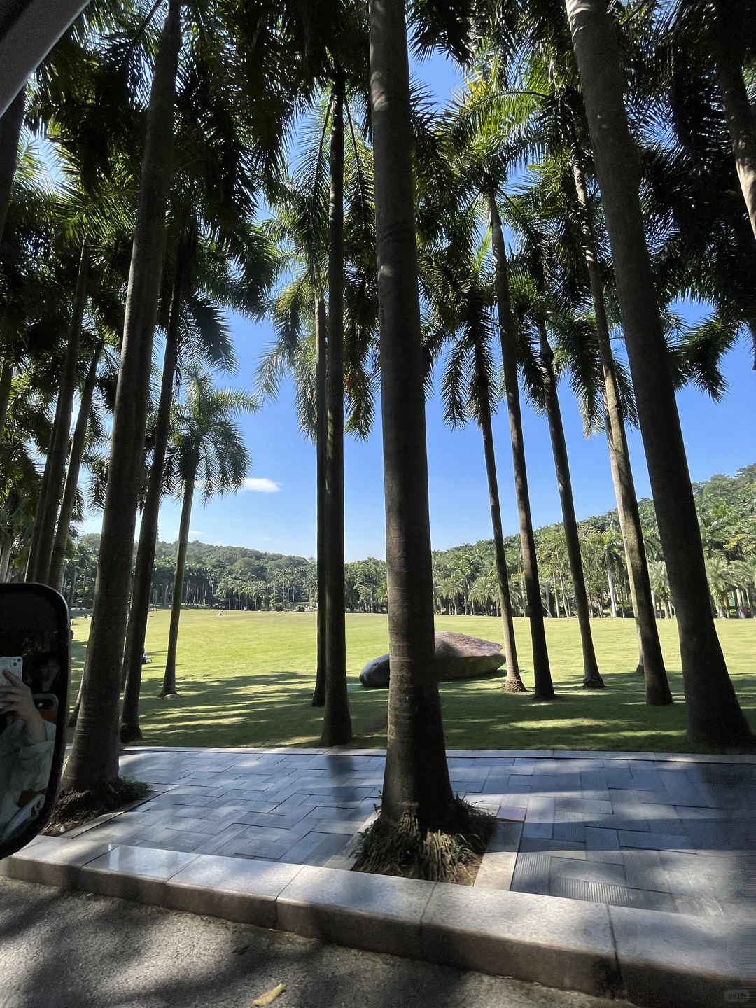 青秀山超全懒人攻略！不费腿不费脑！