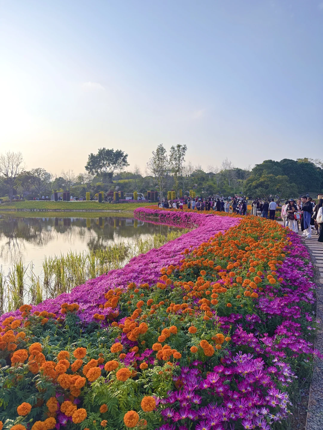 这就是南宁的十二月