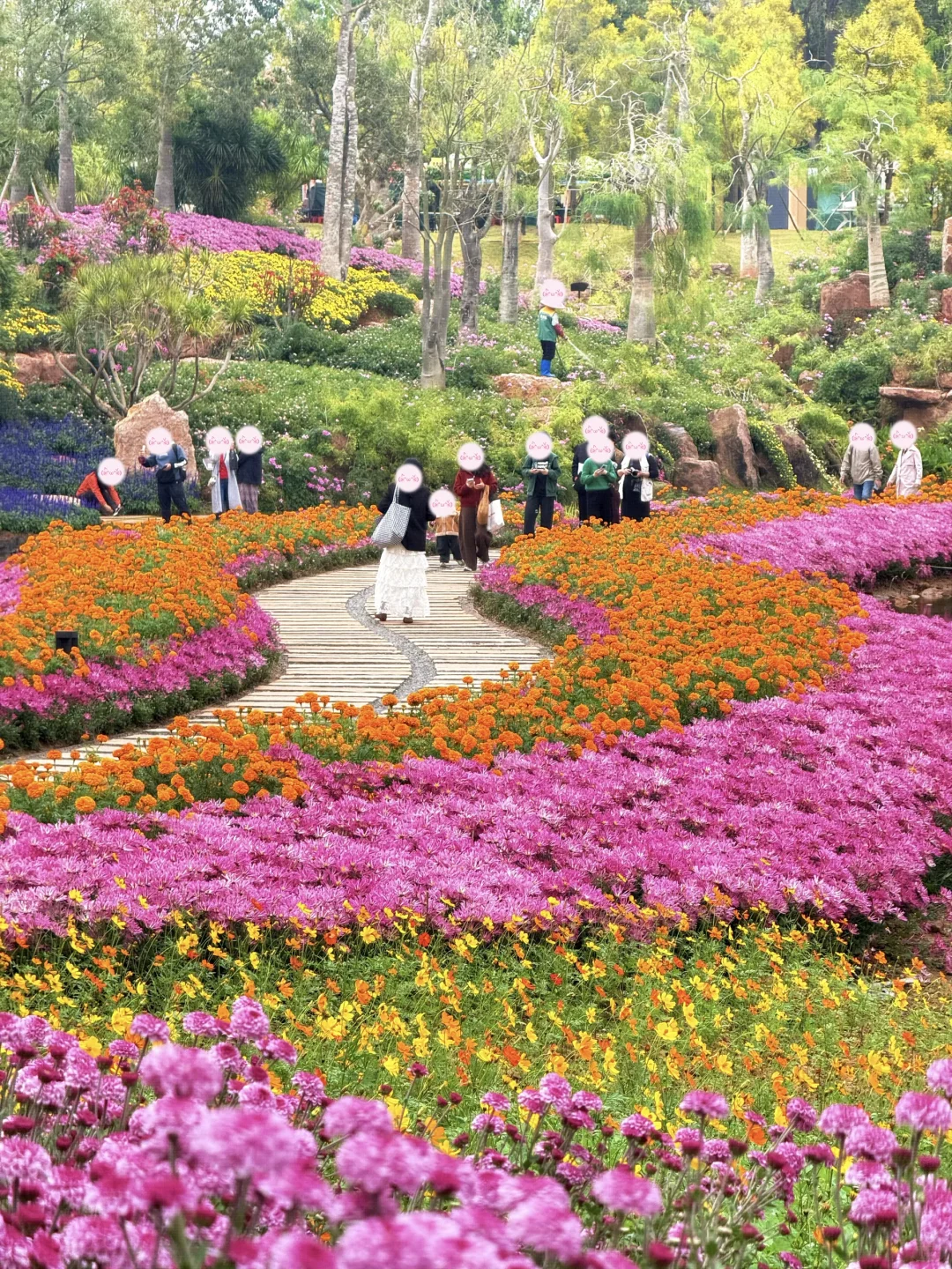12.5实况！！！不愧是南宁冬日顶流花展