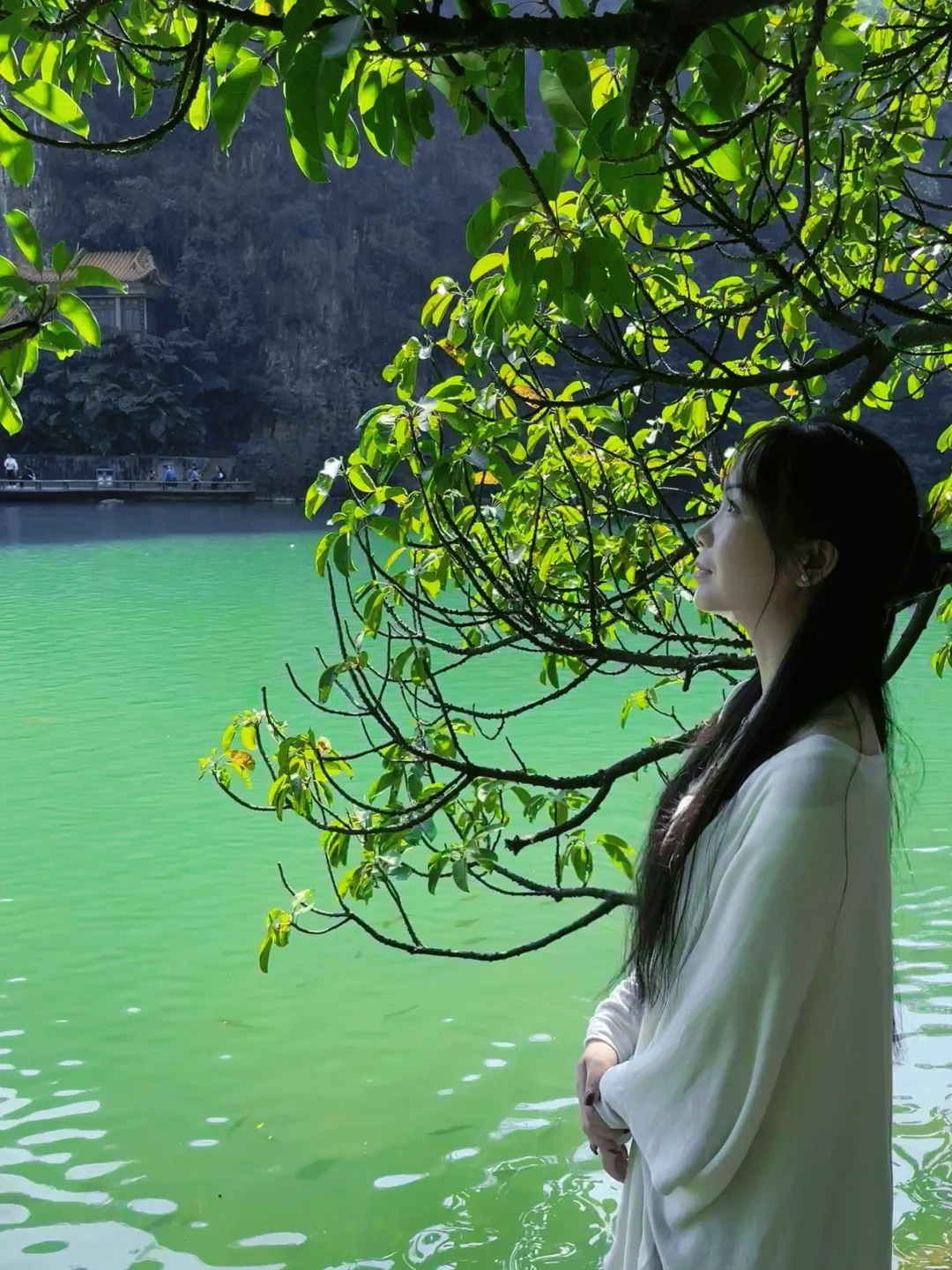 柳州｜绿宝石太出片了❇️龙潭公园最新攻略