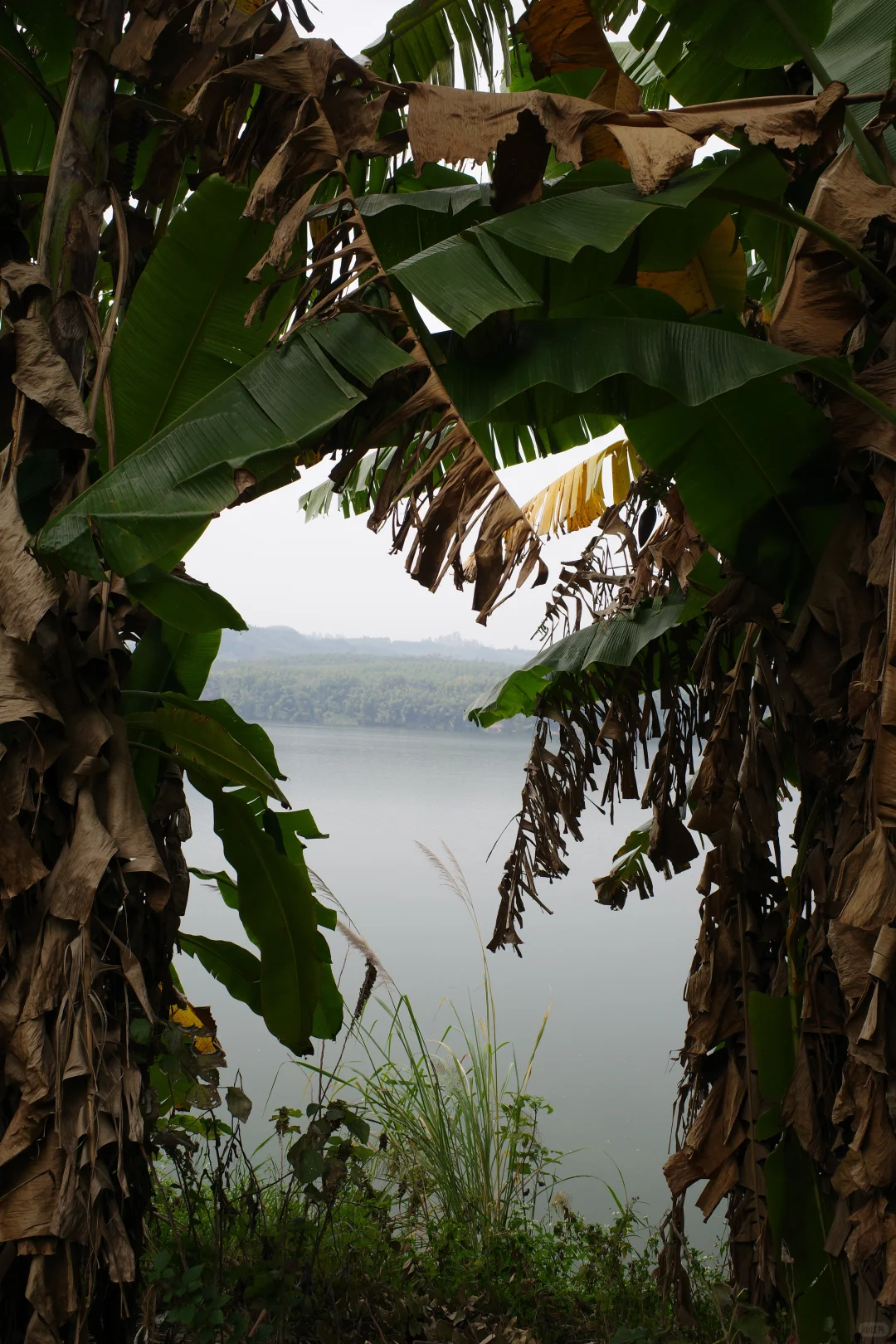 🏞️🚶🏻‍♂️柳州環江遊