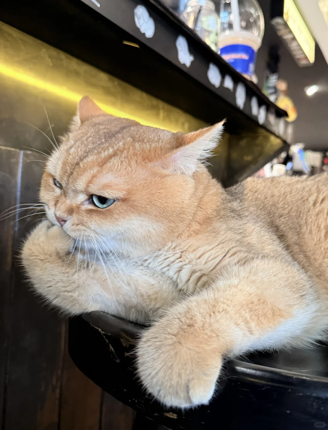 柳州简直是螺蛳粉爱好者的天堂！