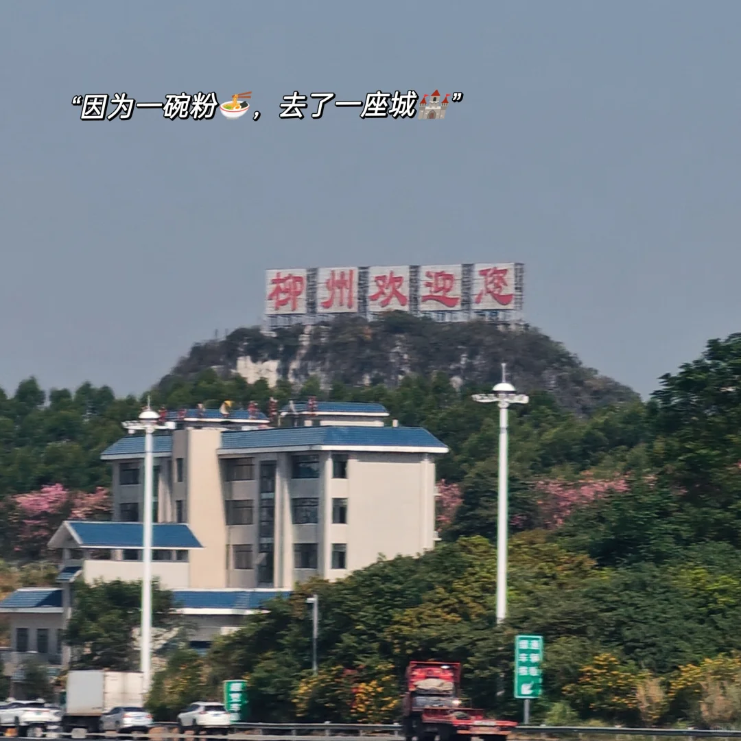 朋友圈分享|柳州live|滤镜plog|旅行文案