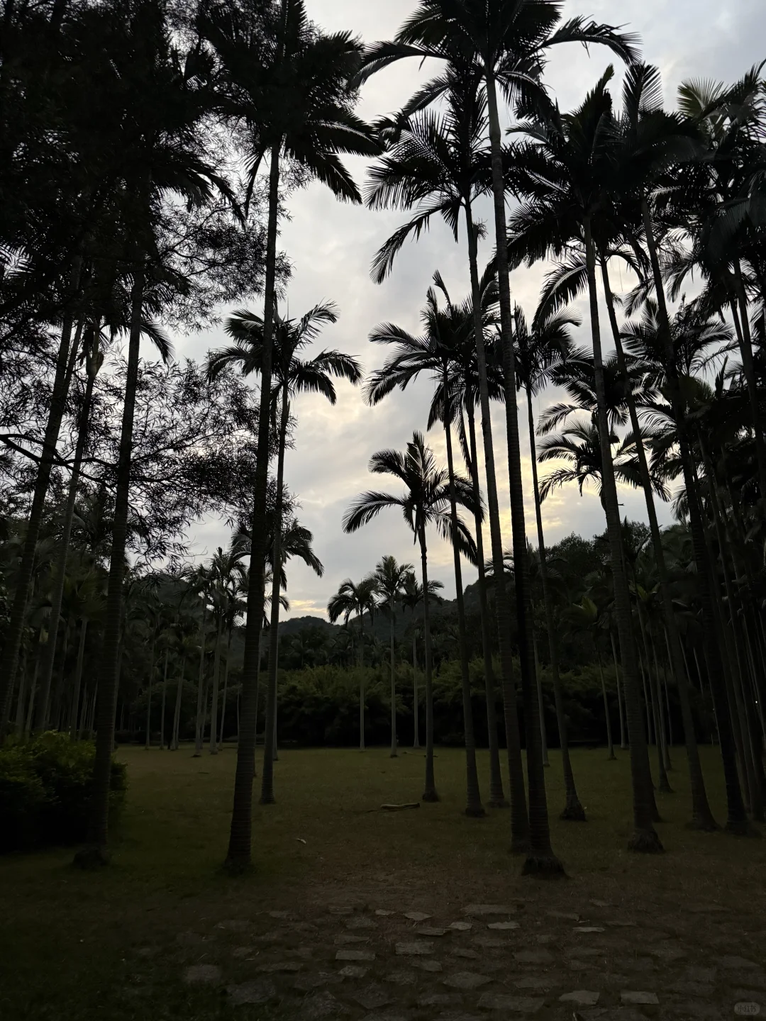 广西4天3晚旅游攻略（柳州篇）DAY3