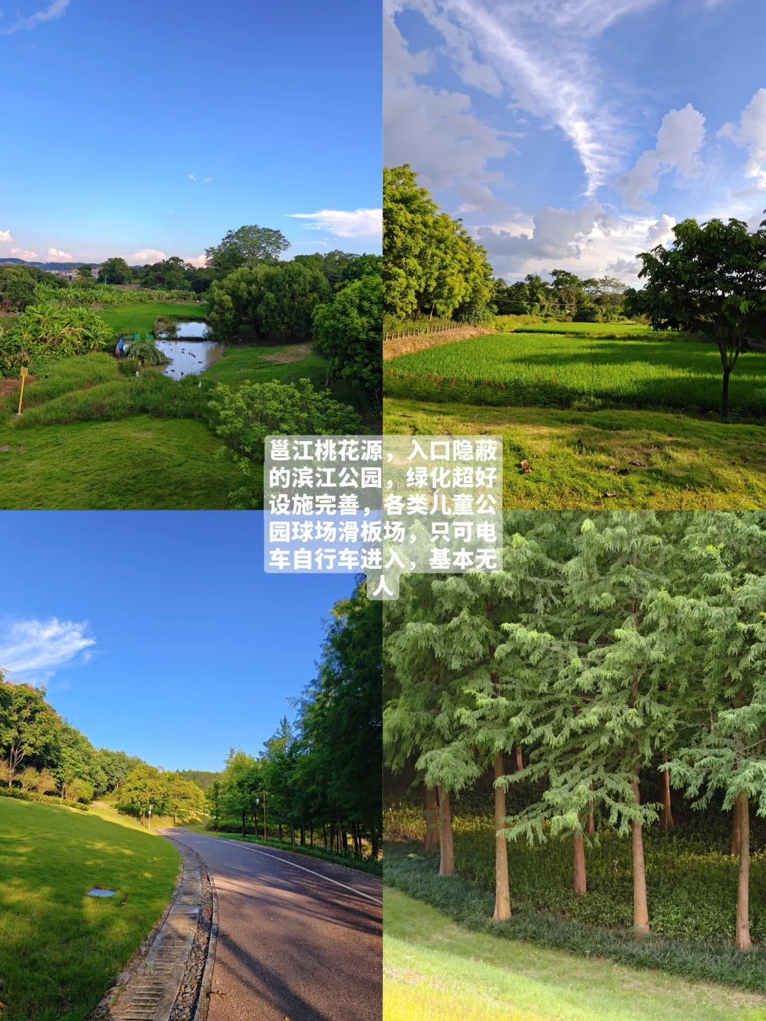 南宁反向旅游指南：📍蒲庙（全攻略）