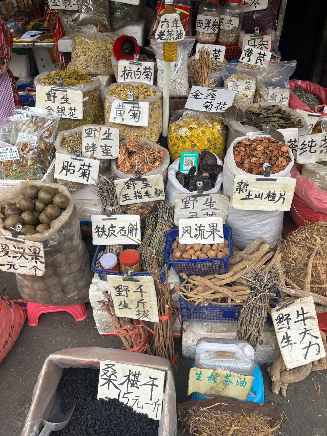 柳州旅游，3天2夜，一个人总花费💰534.03元