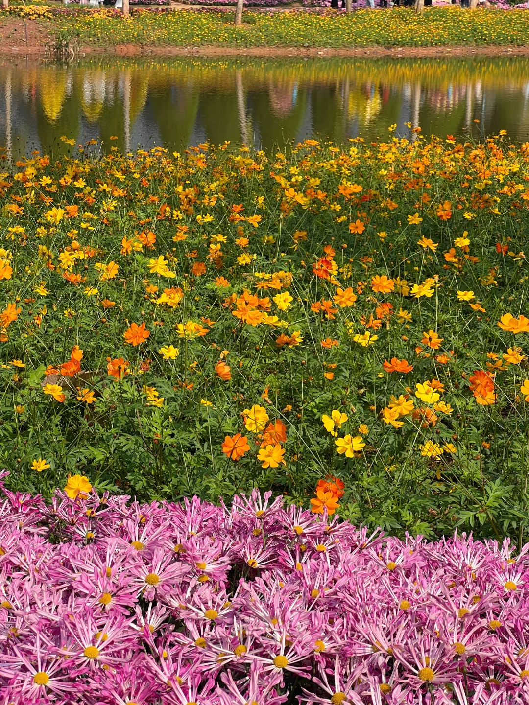 青秀山造景是谁？