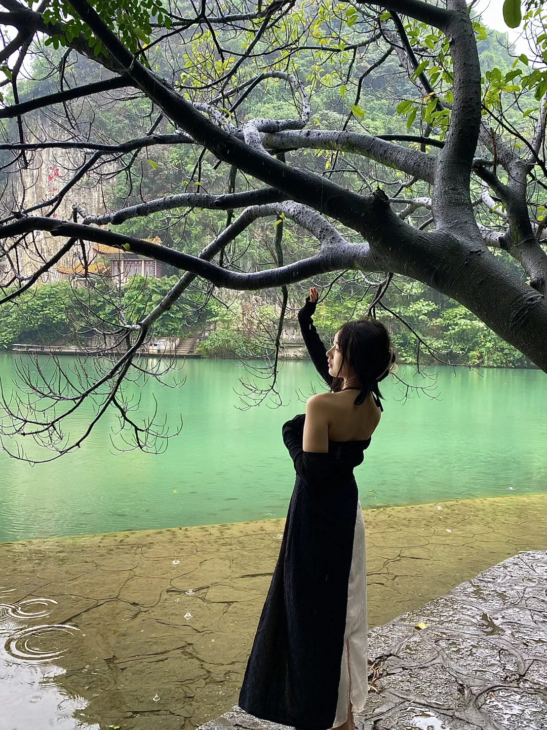 为了这18张live图 我特地去了一次柳州！！！