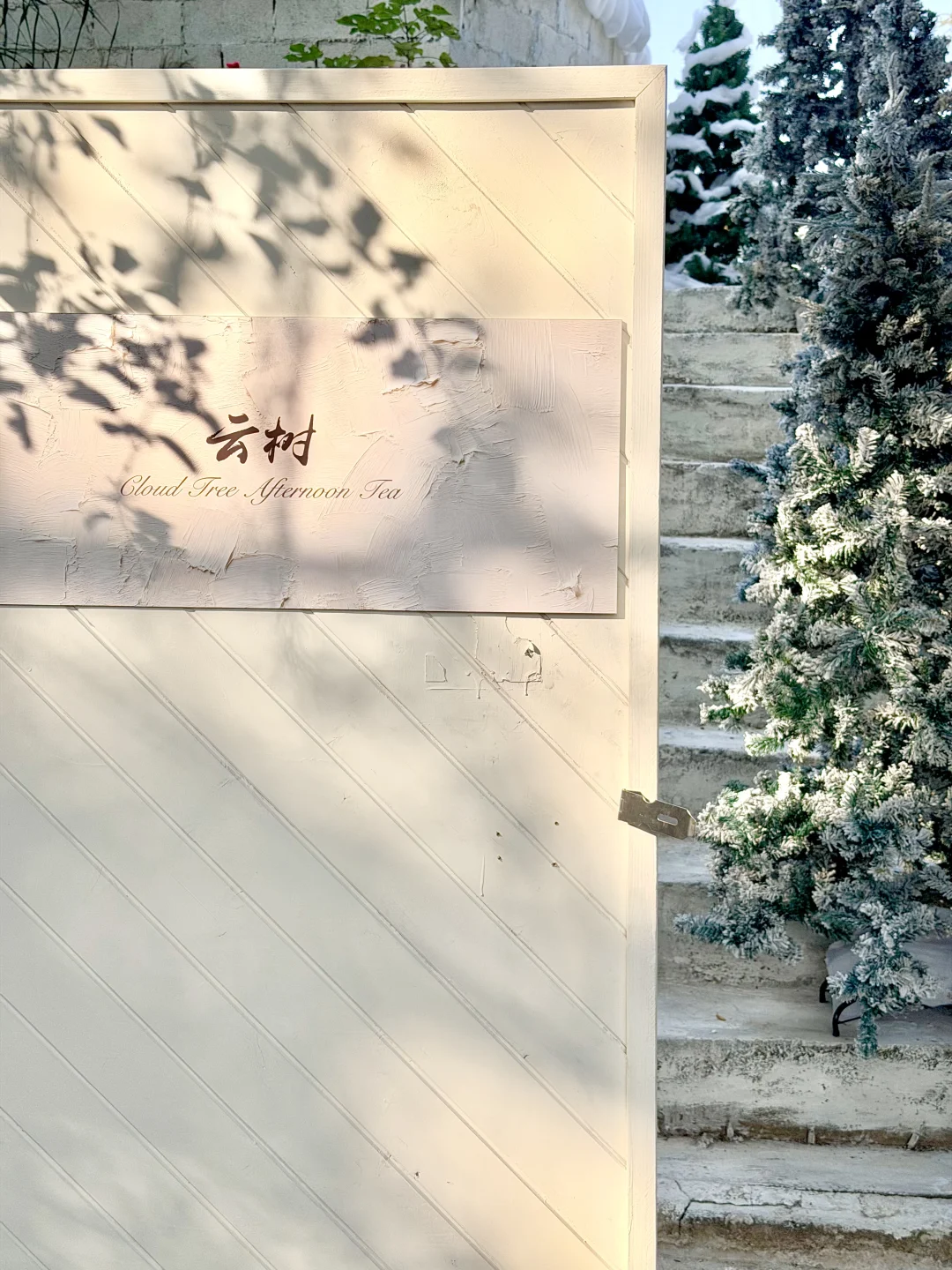 南宁新的！！！雪景好好看！！！！