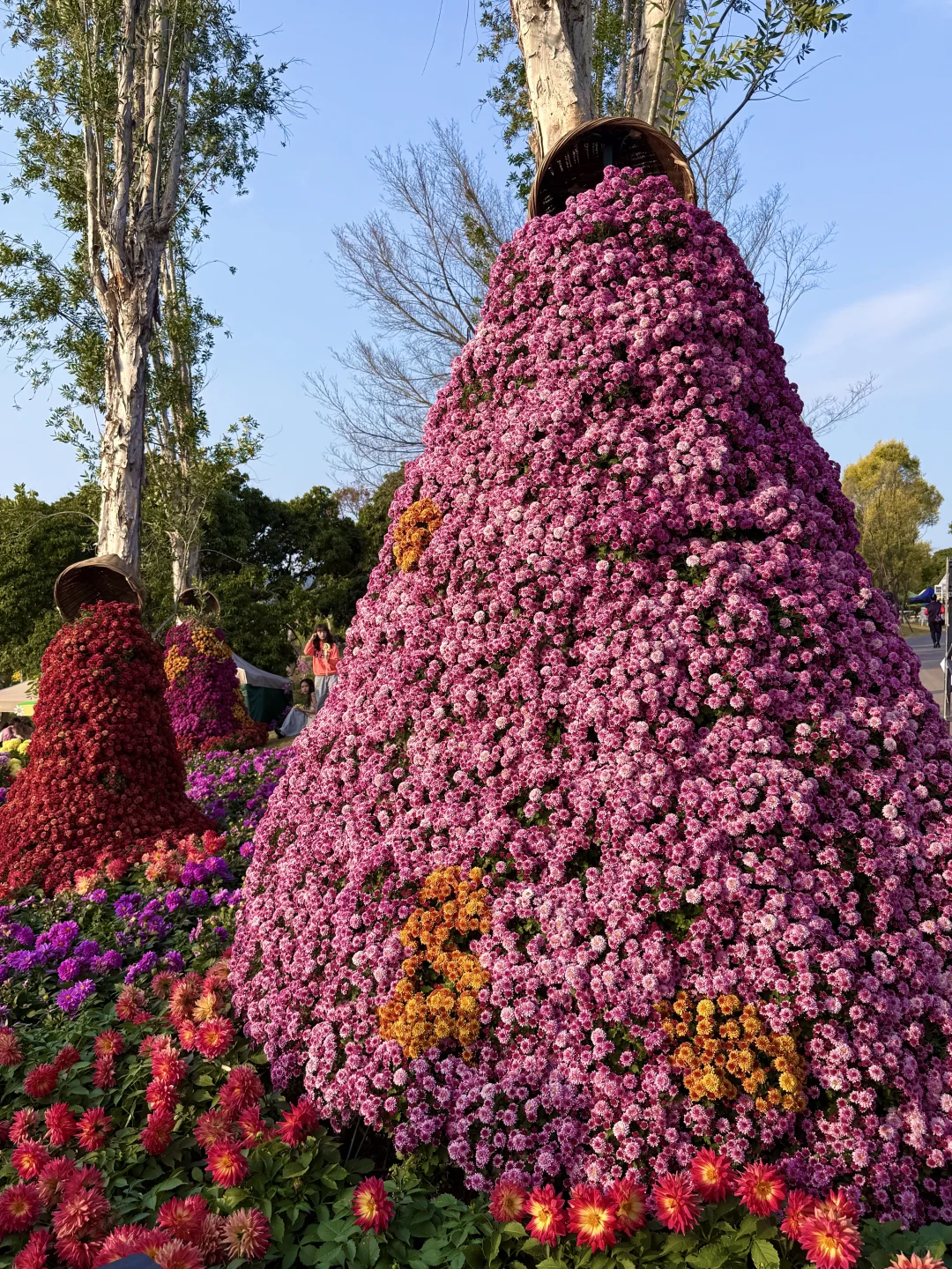 这就是南宁的十二月