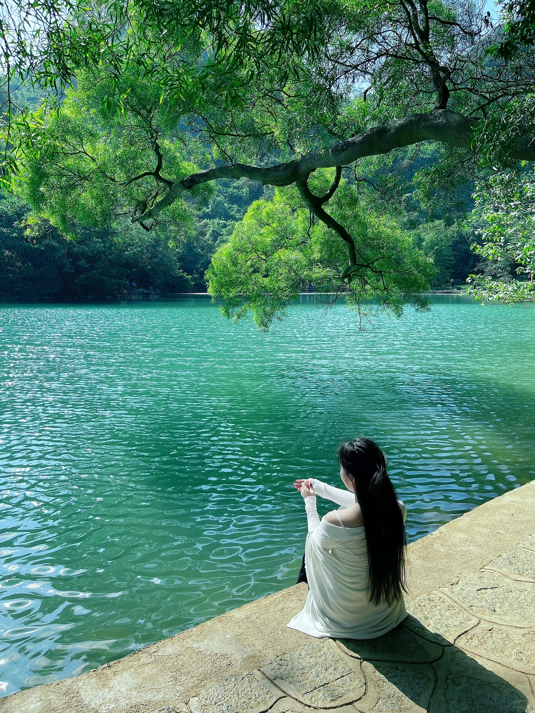 柳州｜绿宝石太出片了❇️龙潭公园最新攻略