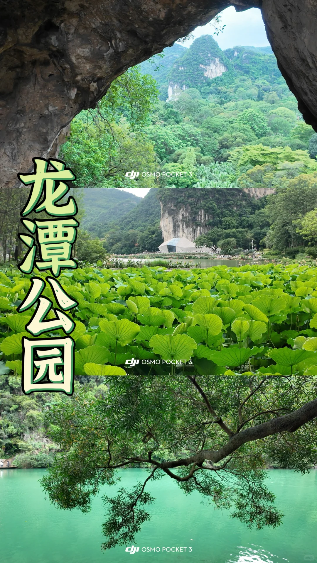 柳州三天两夜Day1️⃣2️⃣3️⃣好吃又好玩🥰