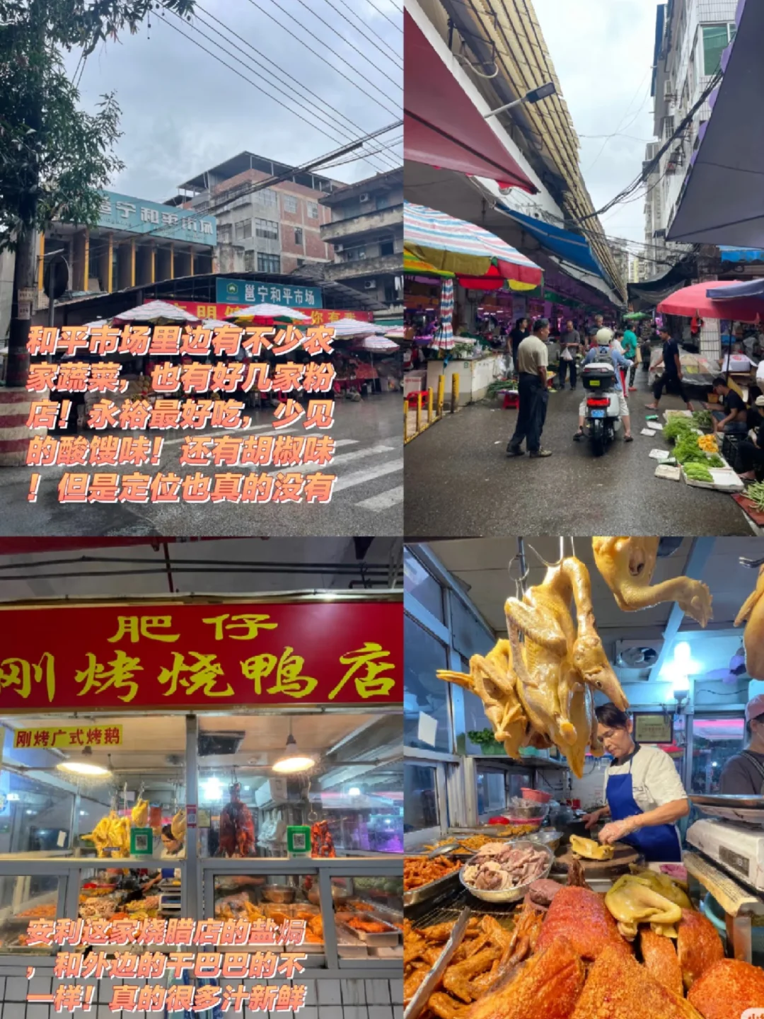 南宁反向旅游指南：📍蒲庙（全攻略）