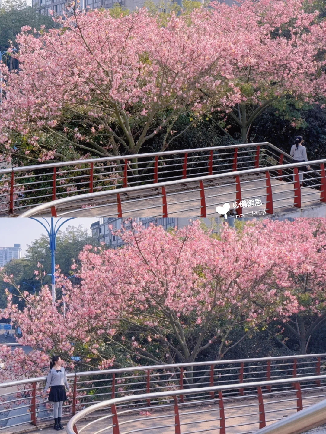 柳州每次路过不得不被迷住，不愧是赏天花板