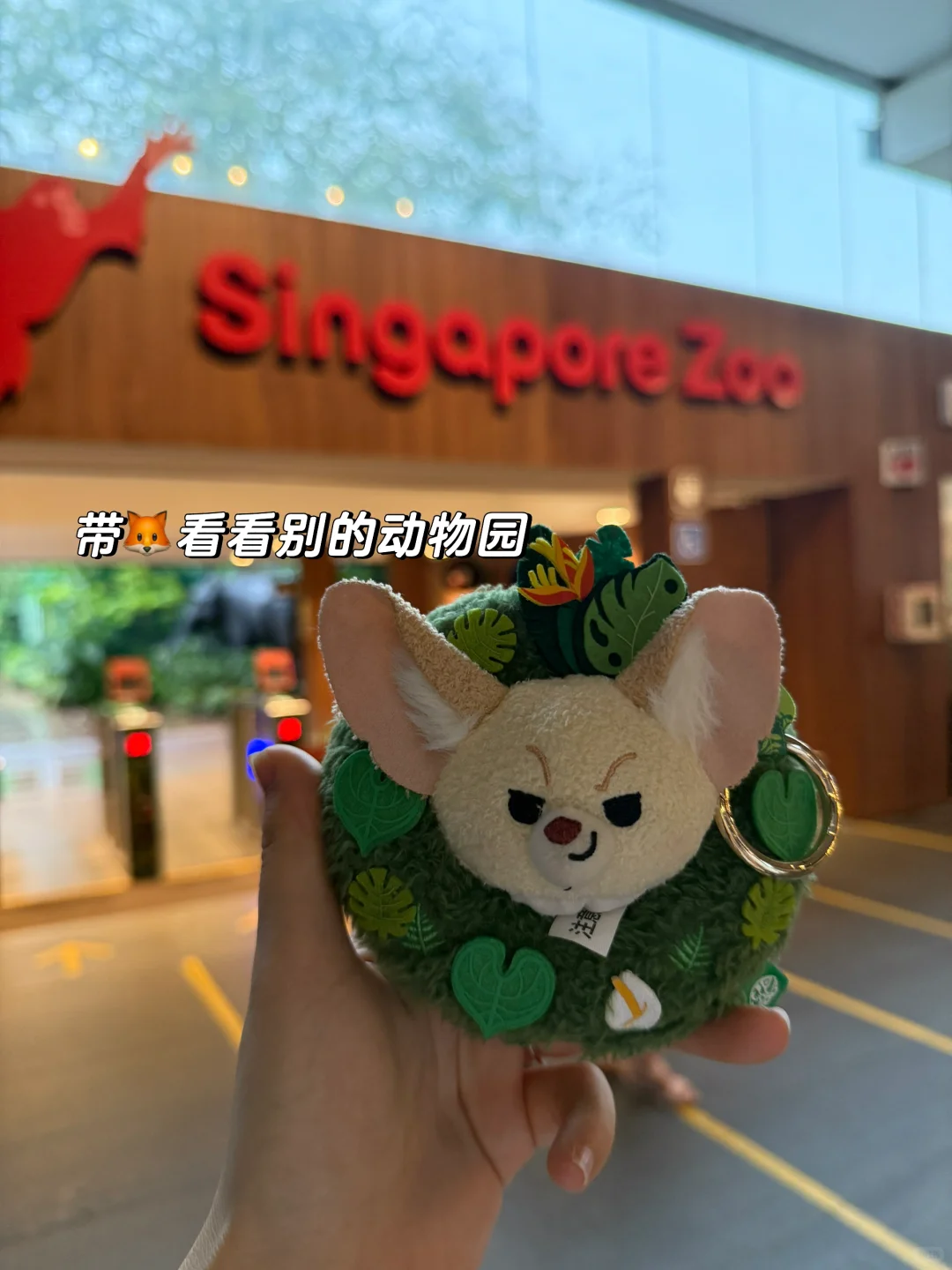 柳州女律师｜十天！整整十天！！