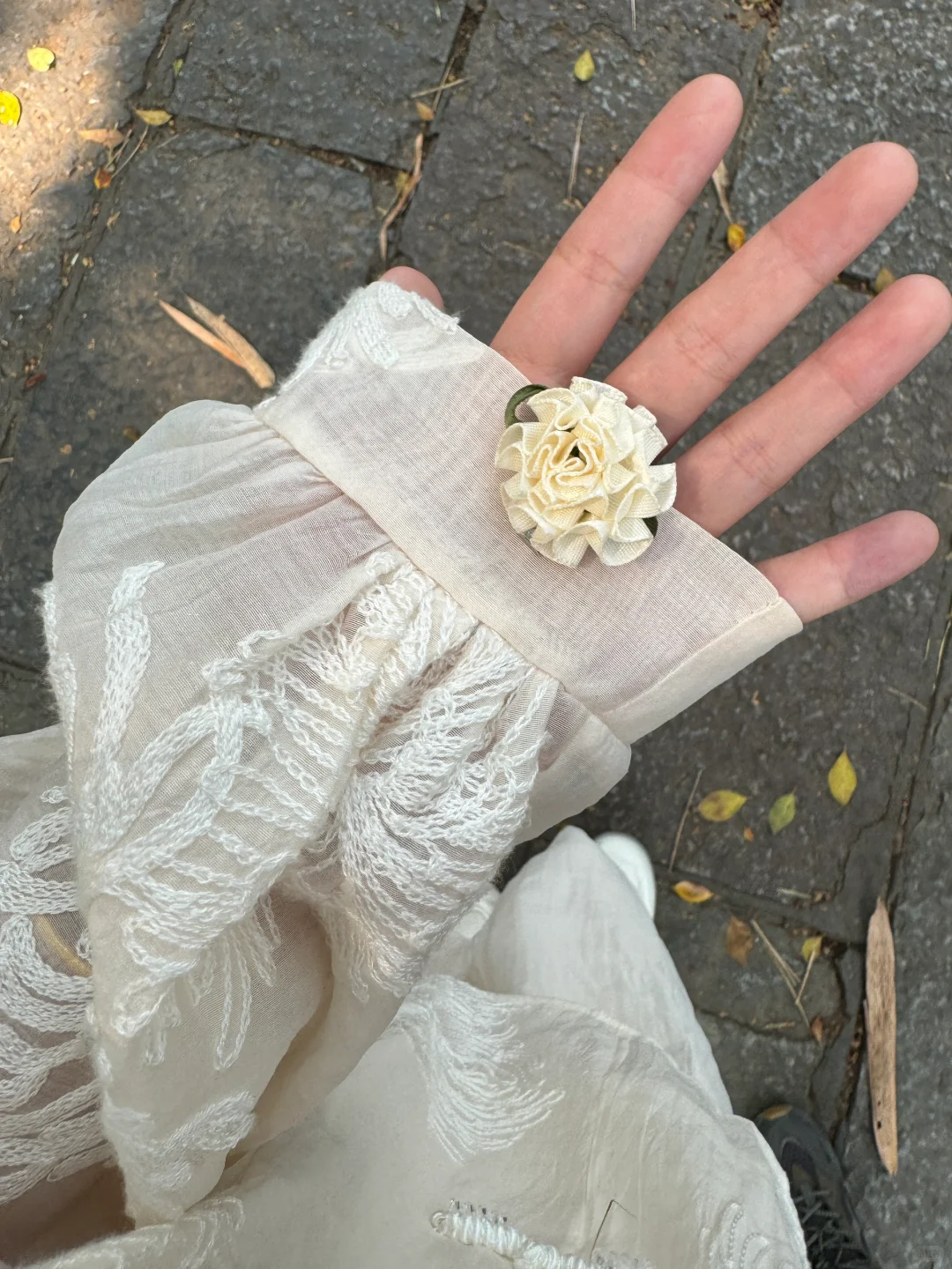 让我看看你们去广西柳州的照片🫣🫣