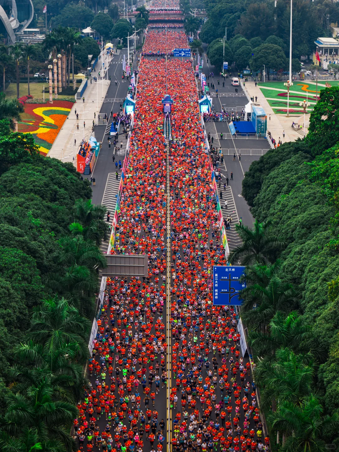 在城市森林里跑马拉松，南宁这次又赢麻了