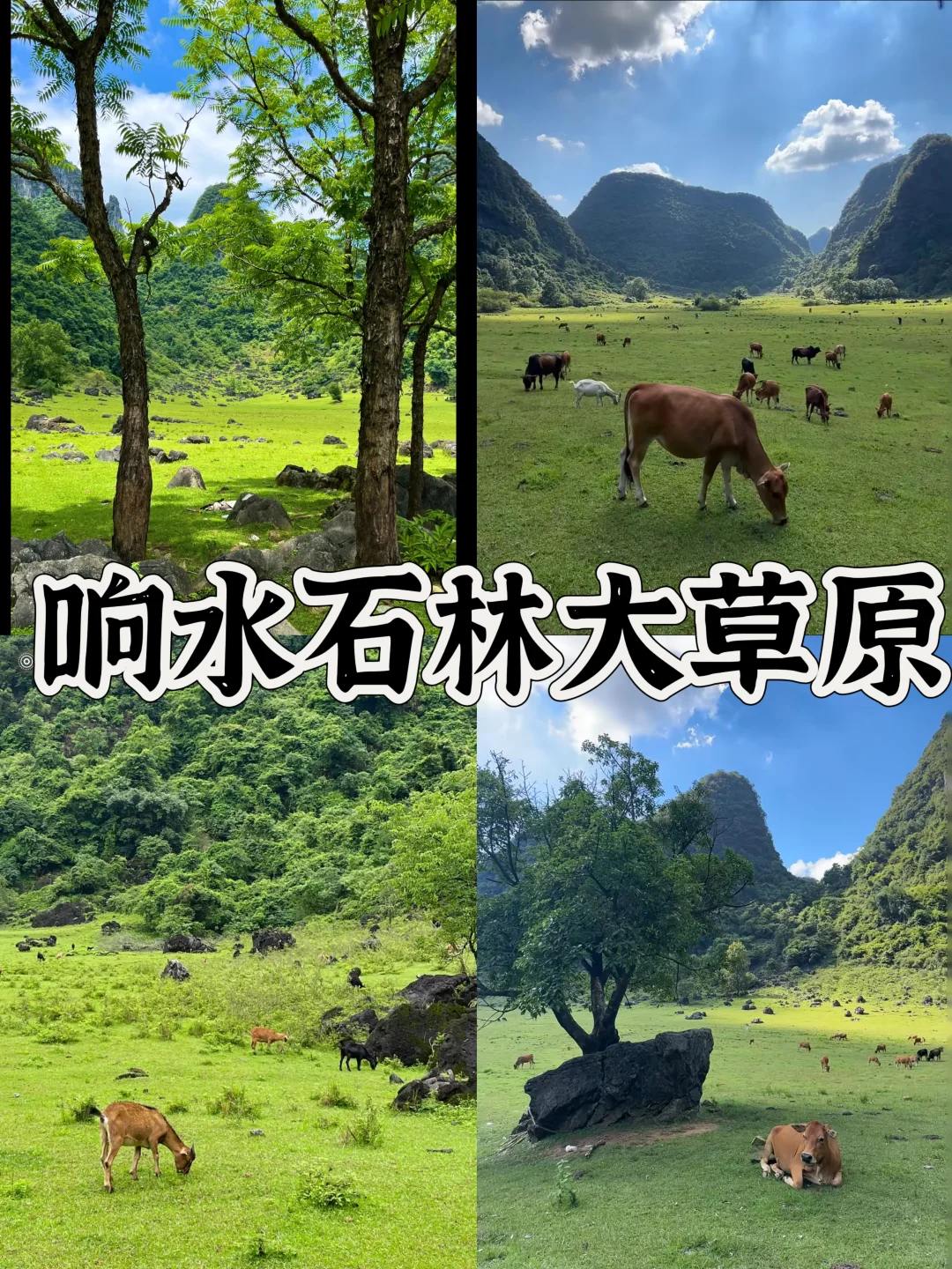 🌟01裸辞｜柳州超详细3天2夜攻略‼️‼️‼️