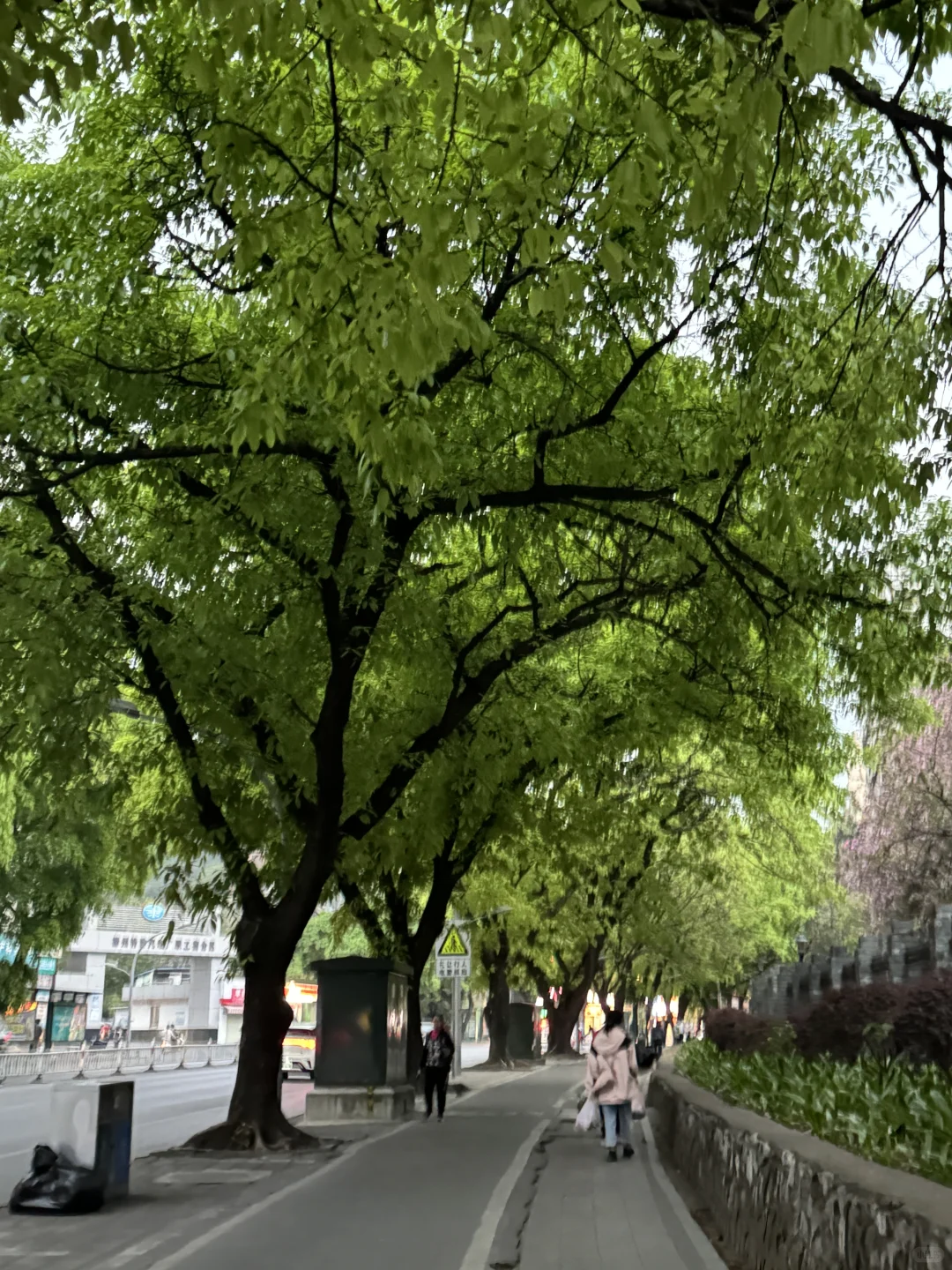 让我看看你们去广西柳州的照片🫣🫣