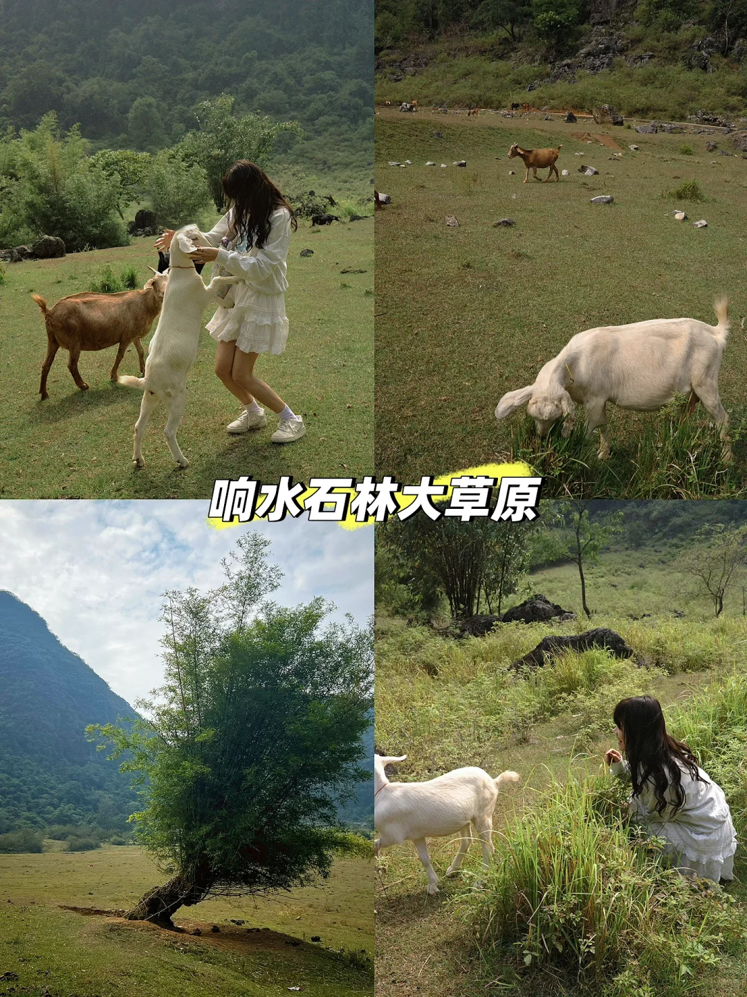 柳州•吃喝玩乐三天两夜游攻略～