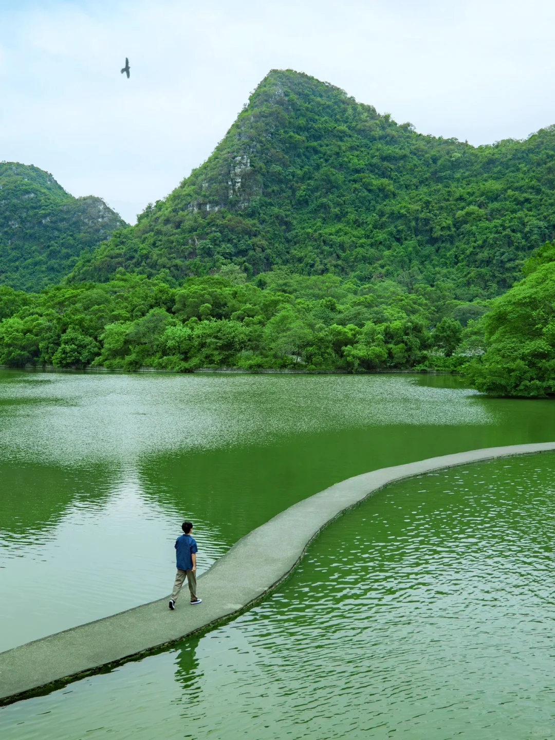 任何人来柳州，错过这个公园我都会伤心的