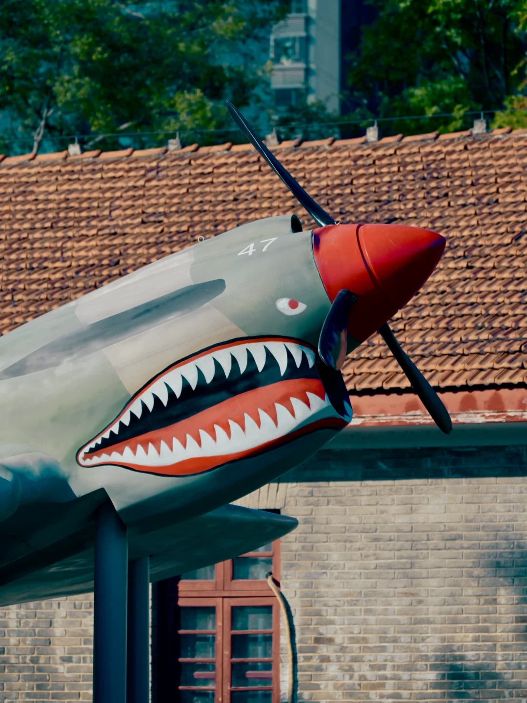 柳州·军事博物园｜历史正在此处日光浴