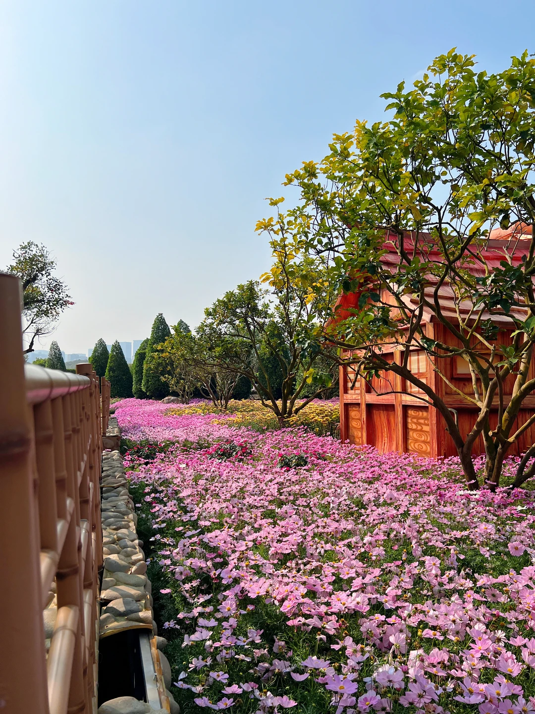 青秀山造景是谁？