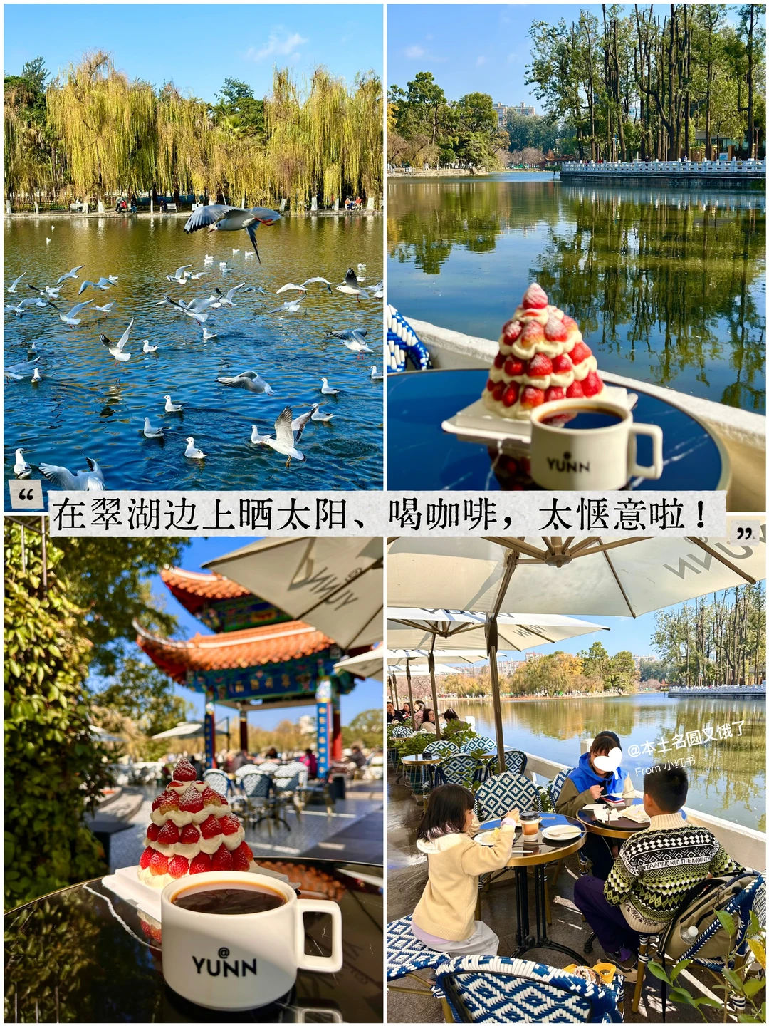 南宁周末逃离计划|昆明观鸥季两日游攻略！