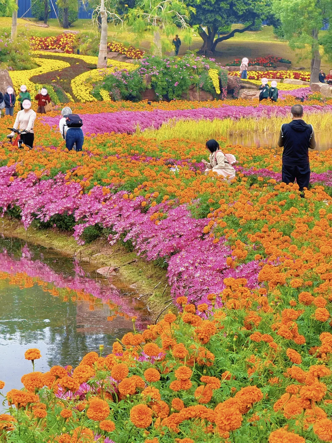 12.5实况！！！不愧是南宁冬日顶流花展