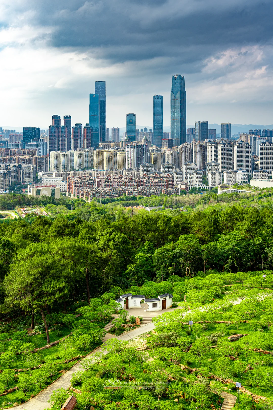 这么美的南宁，确定不来看看吗！！！