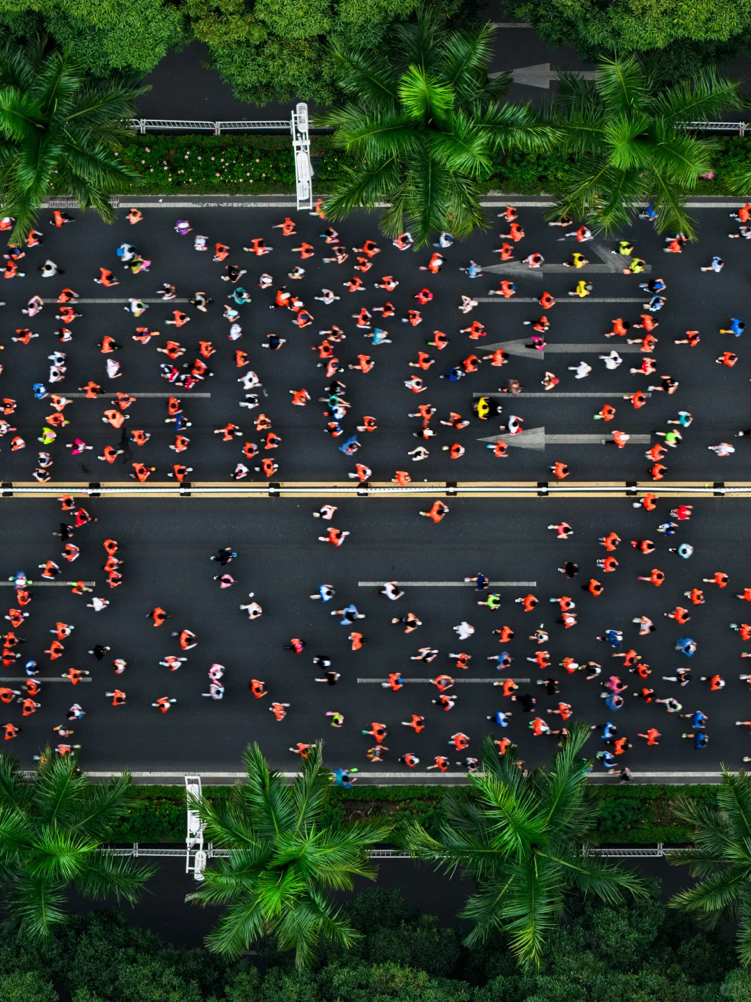 在城市森林里跑马拉松，南宁这次又赢麻了