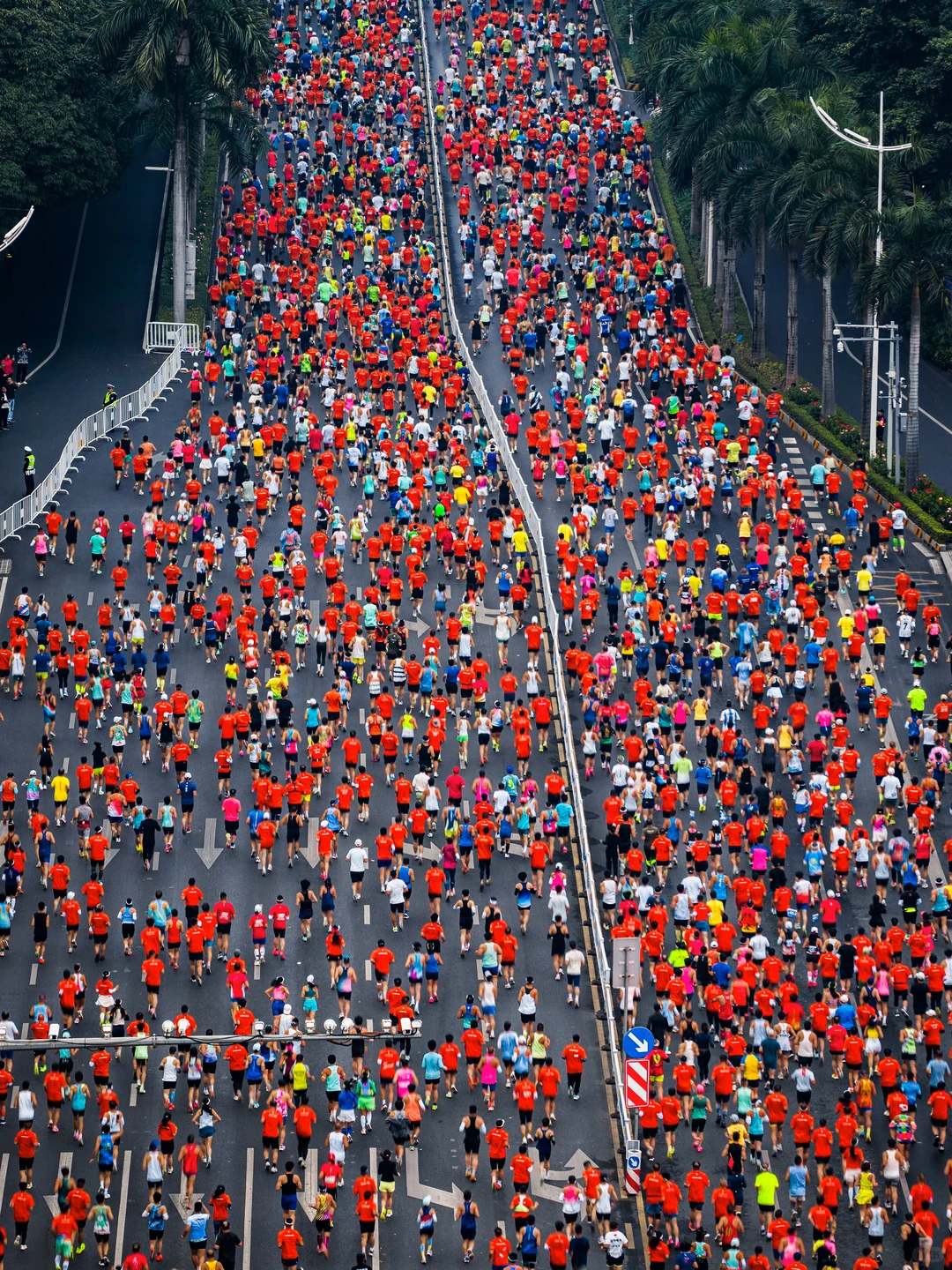 在城市森林里跑马拉松，南宁这次又赢麻了