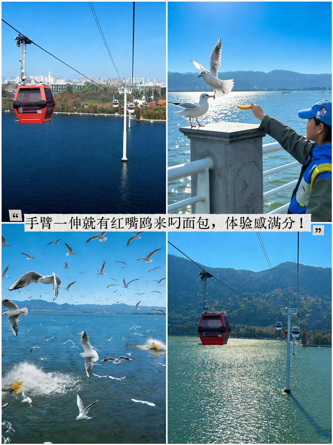 南宁周末逃离计划|昆明观鸥季两日游攻略！