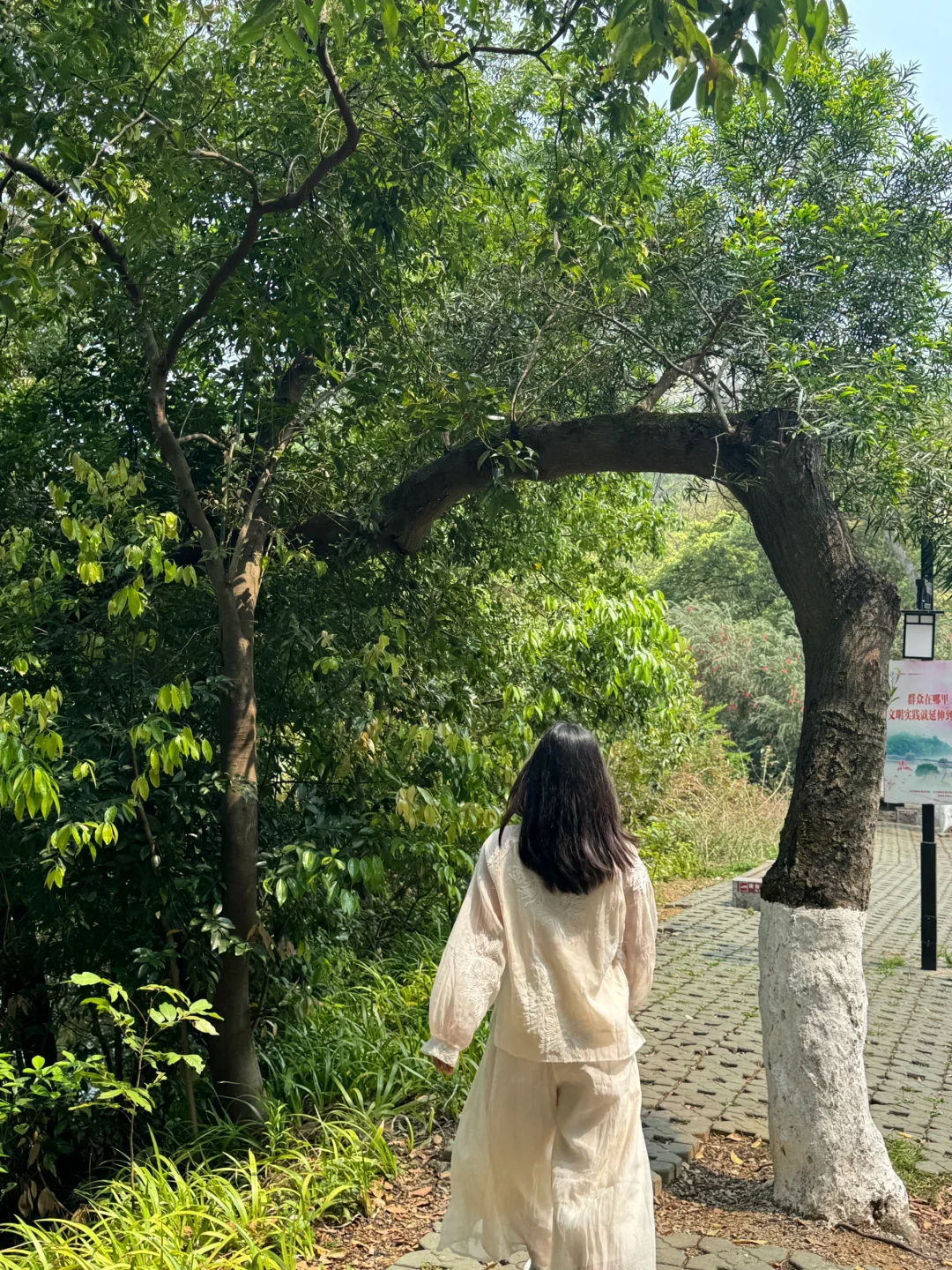 让我看看你们去广西柳州的照片🫣🫣