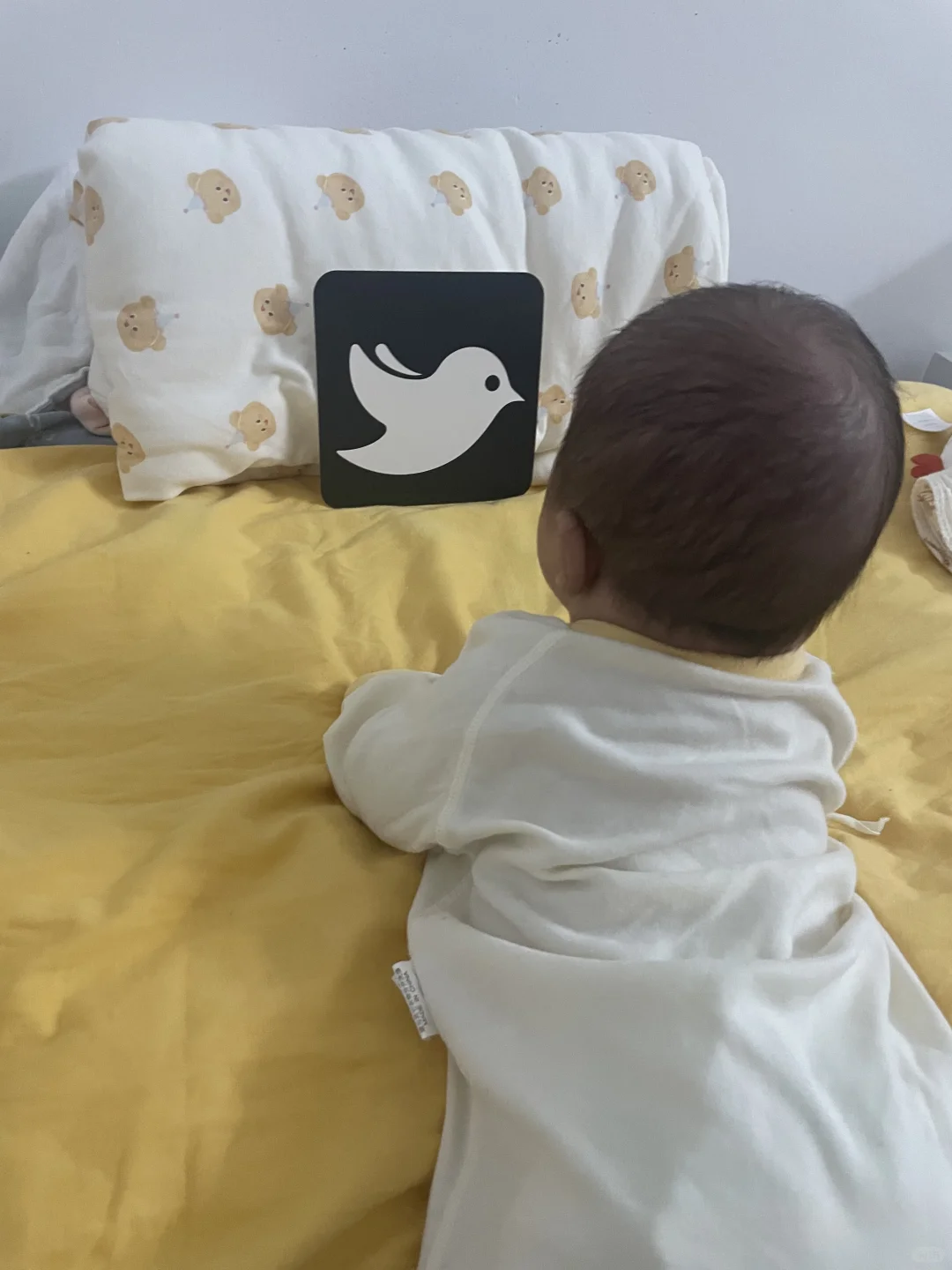 下户倒计时！1月档期空出，蹲个柳州美孕妈贴