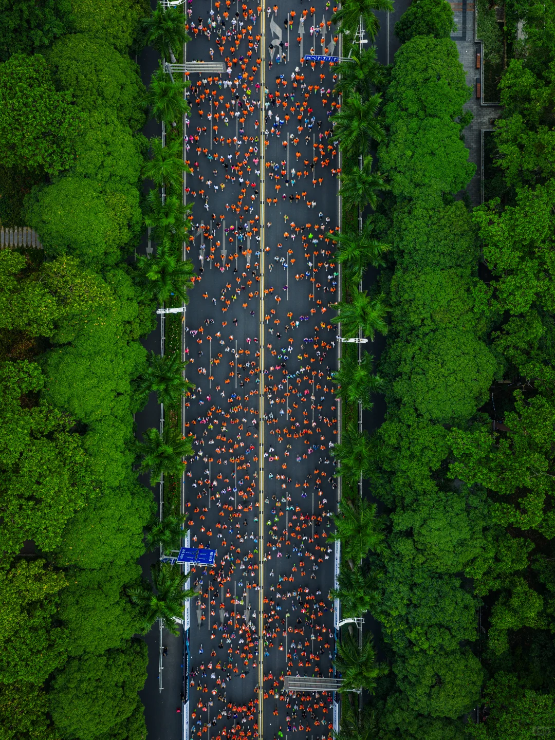在城市森林里跑马拉松，南宁这次又赢麻了