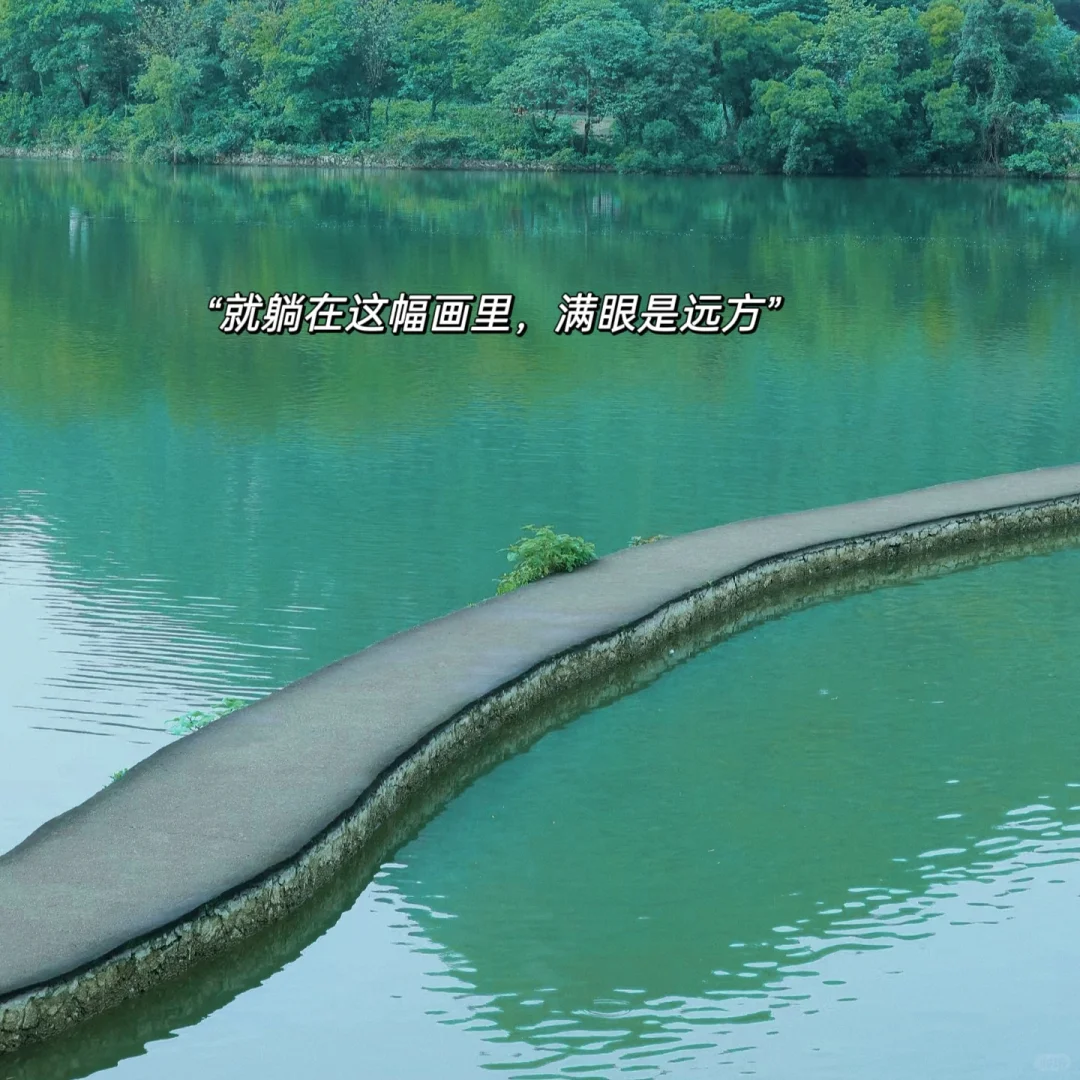 朋友圈分享|柳州live|滤镜plog|旅行文案