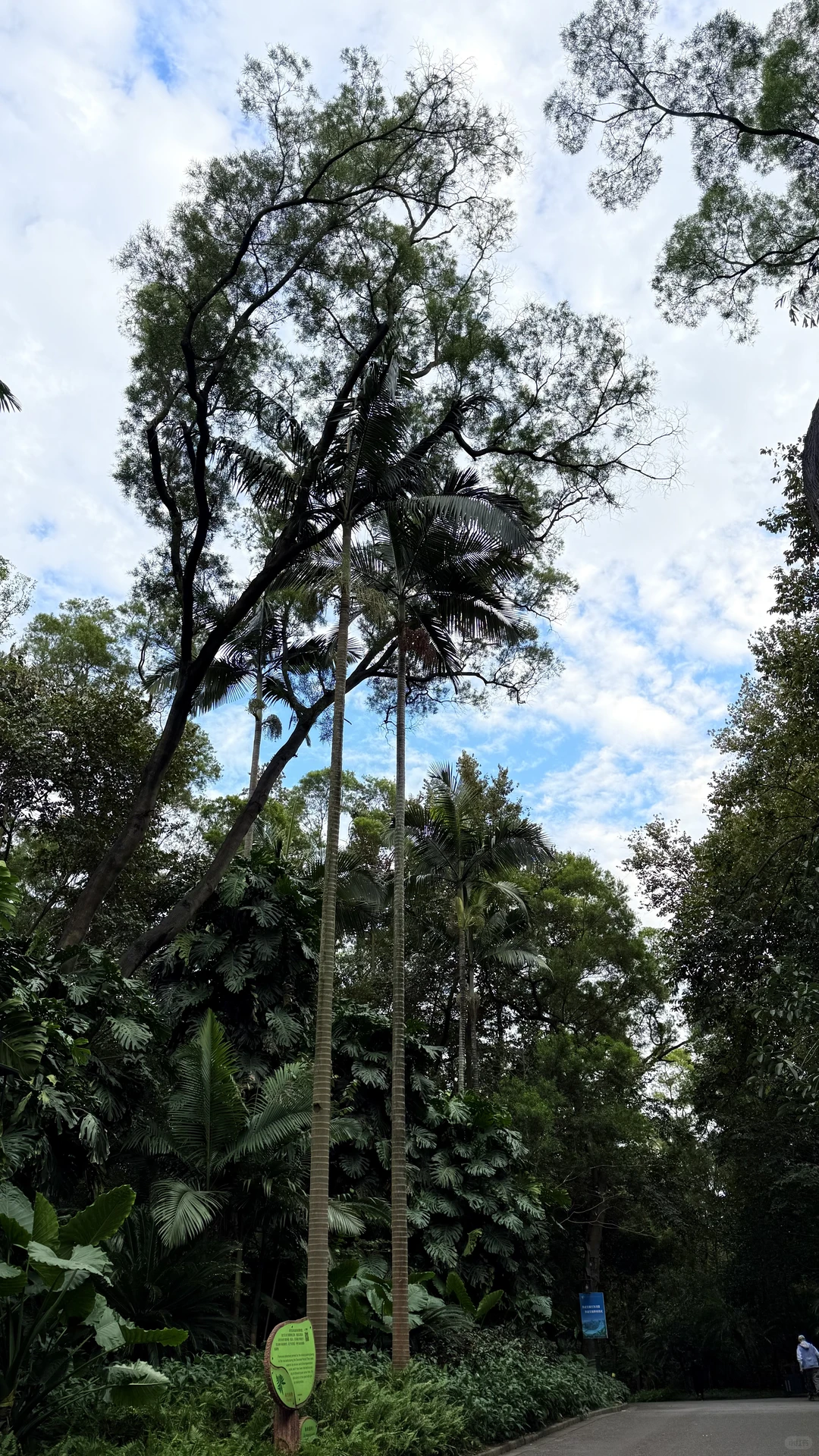 广西4天3晚旅游攻略（柳州篇）DAY3