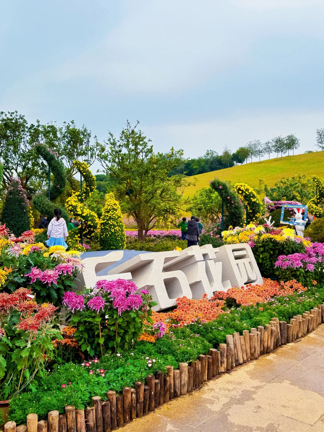 12.5实况！！！不愧是南宁冬日顶流花展