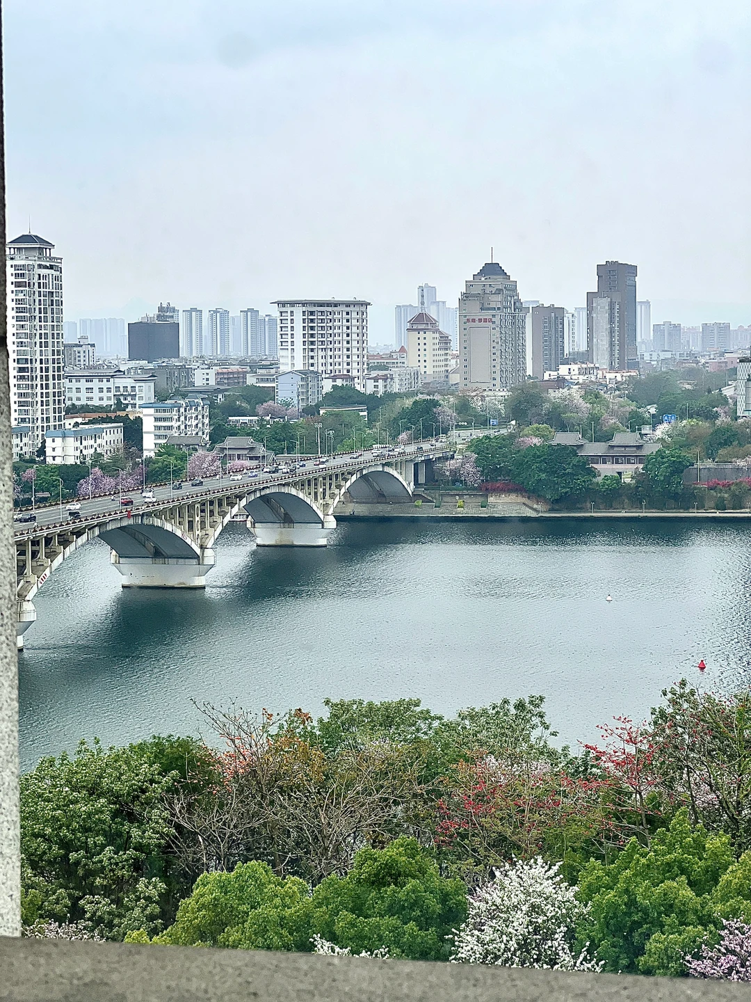 柳州这家江景酒店！！！简直next level了！