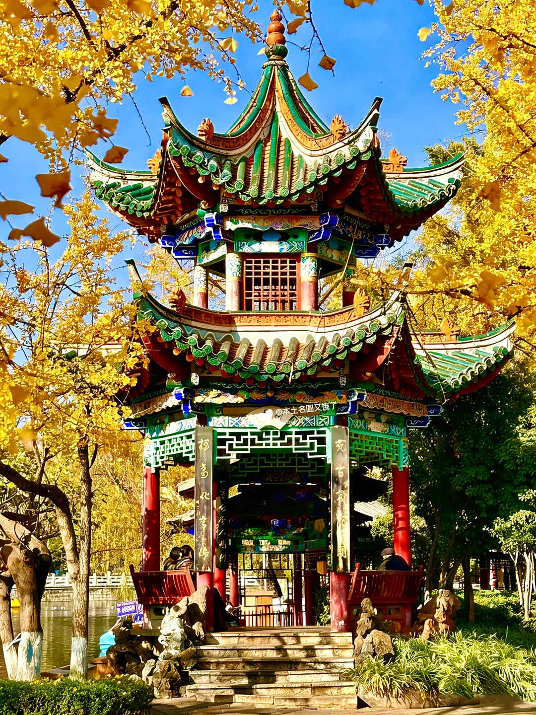 南宁周末逃离计划|昆明观鸥季两日游攻略！