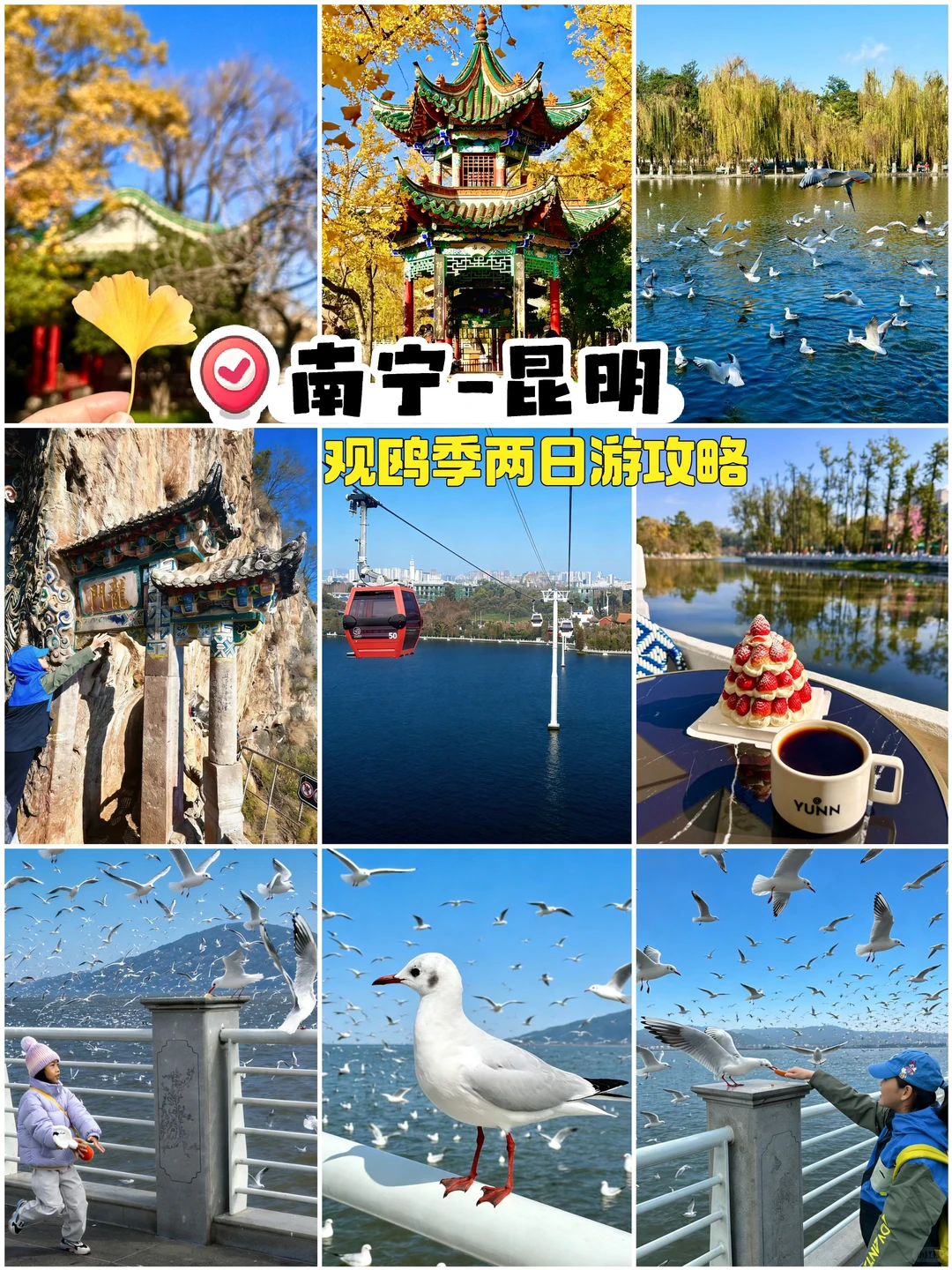 南宁周末逃离计划|昆明观鸥季两日游攻略！