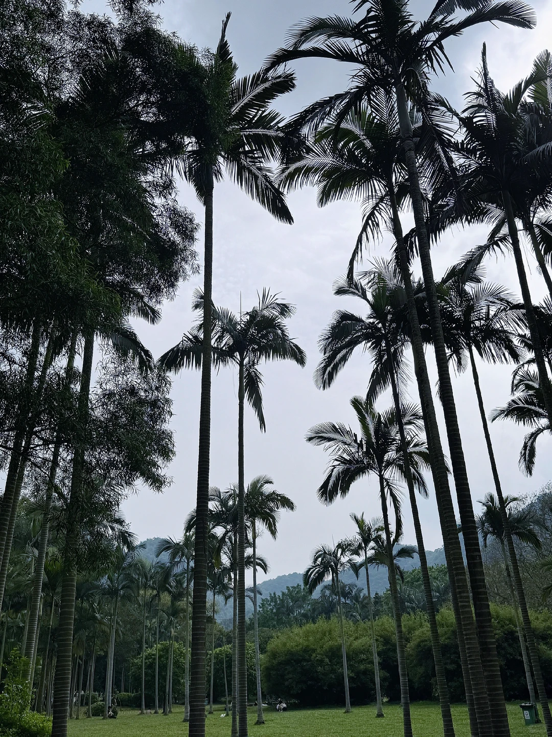 柳州后劲太大了！第一次去看这份攻略就够了！