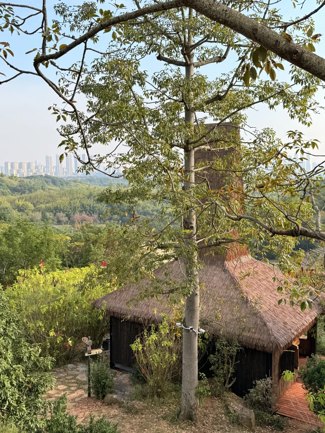 12.6南宁实况！！青秀山里的清迈新景🌳！！
