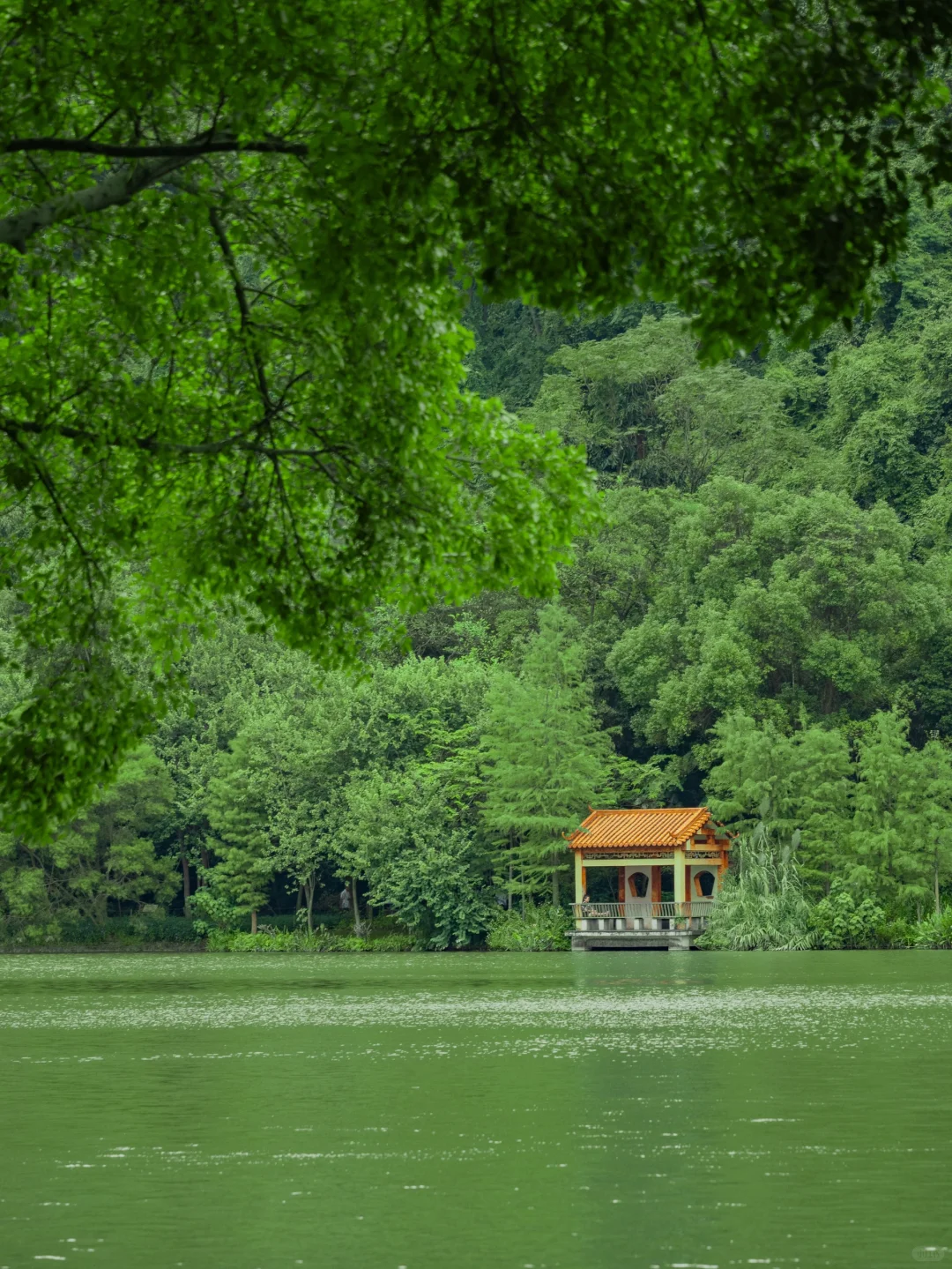 任何人来柳州，错过这个公园我都会伤心的