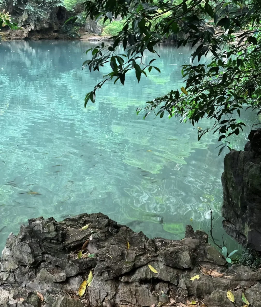 被赞爆了的朋友圈文案🥳｜📍柳州