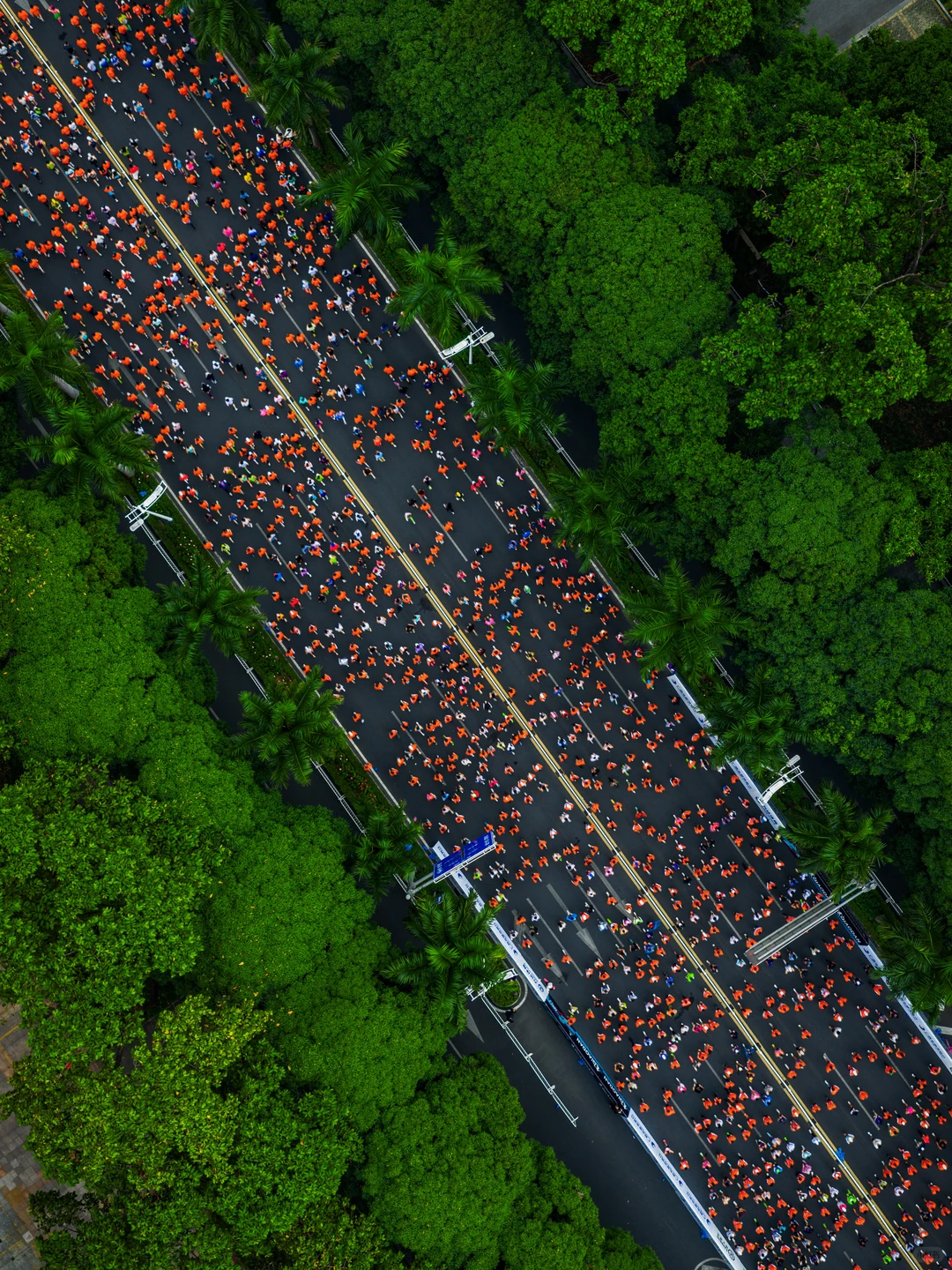 在城市森林里跑马拉松，南宁这次又赢麻了